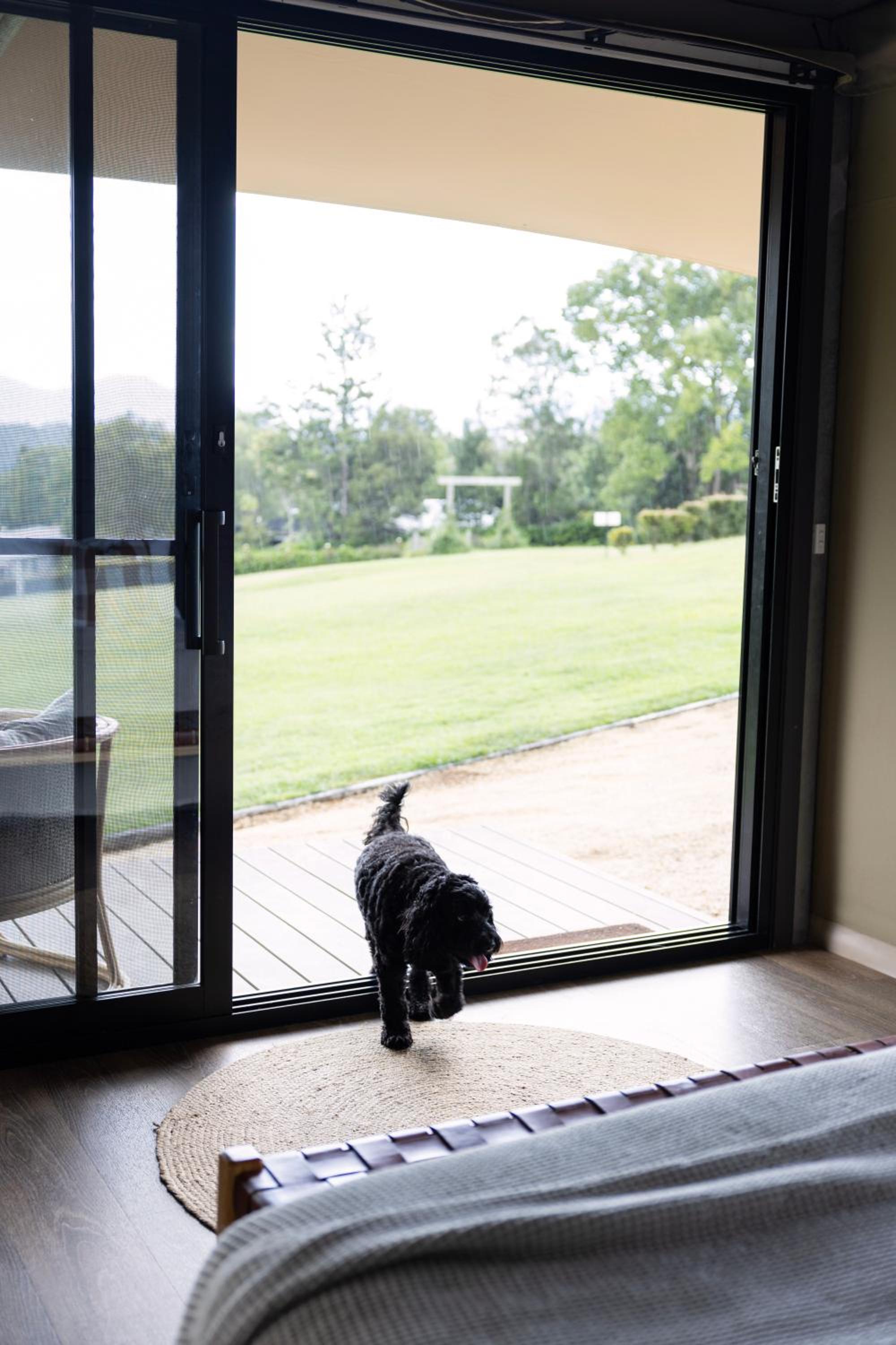 The Lodge Bellingen