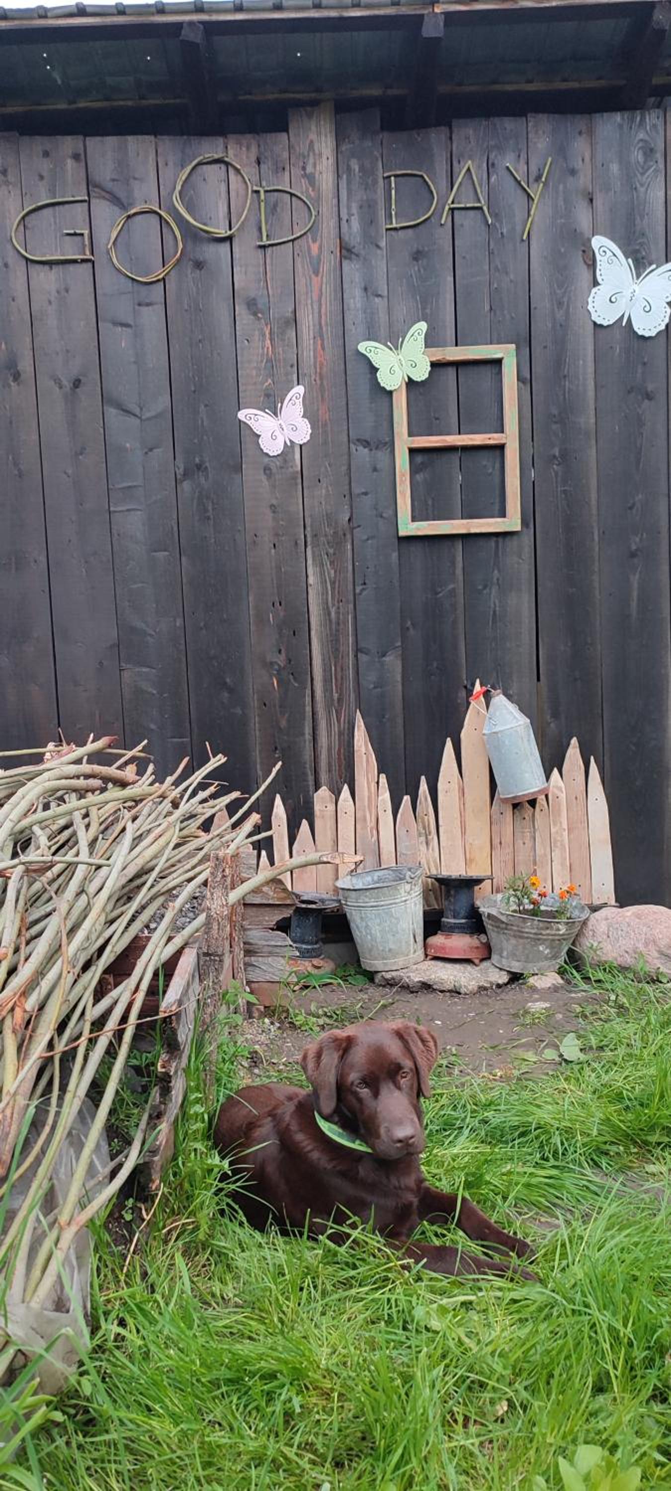 Photo 35