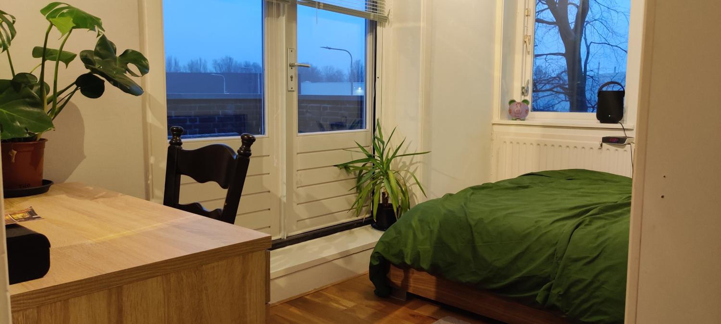 Photo 18
