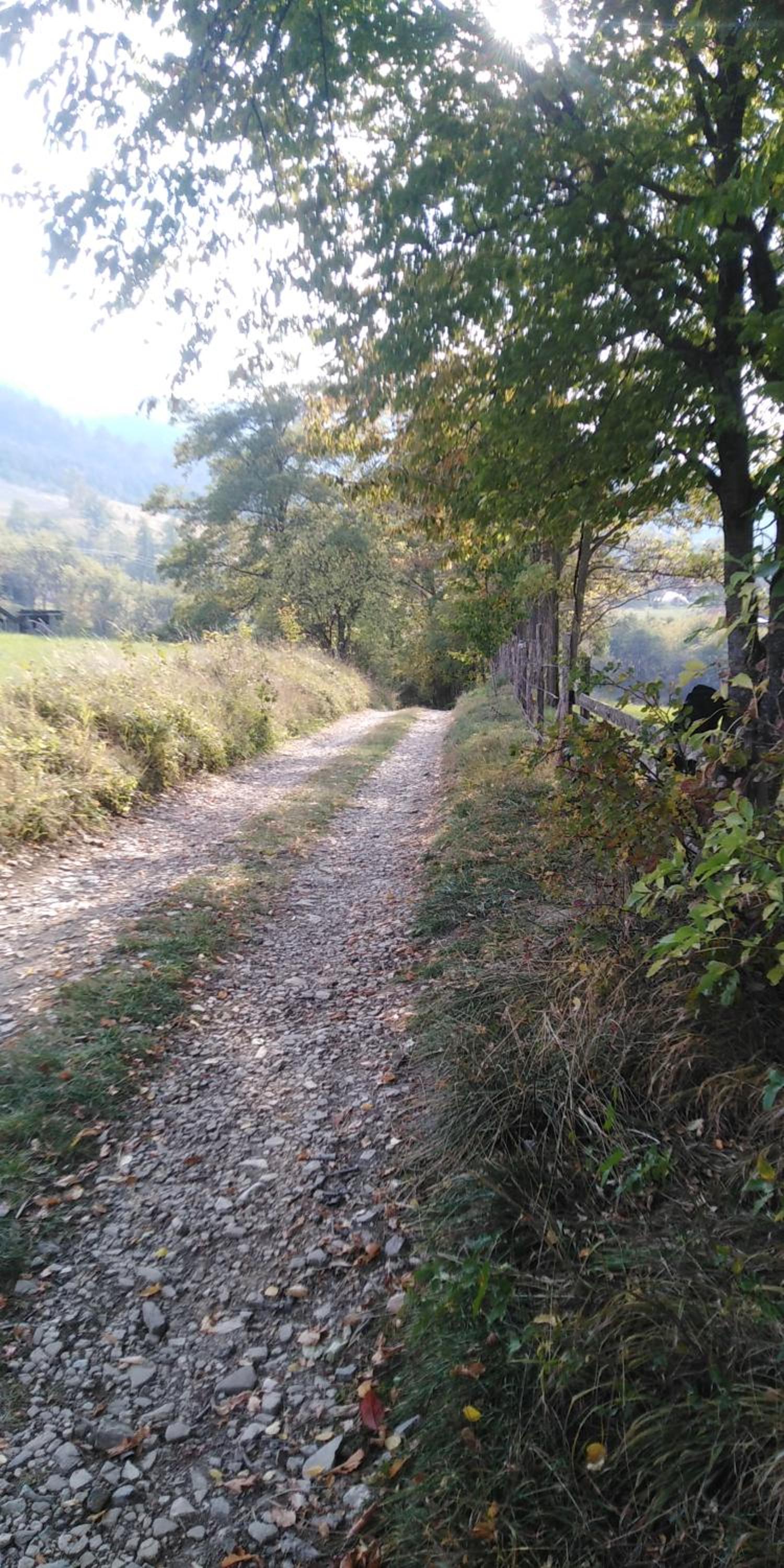 Koliba kod Vukašina