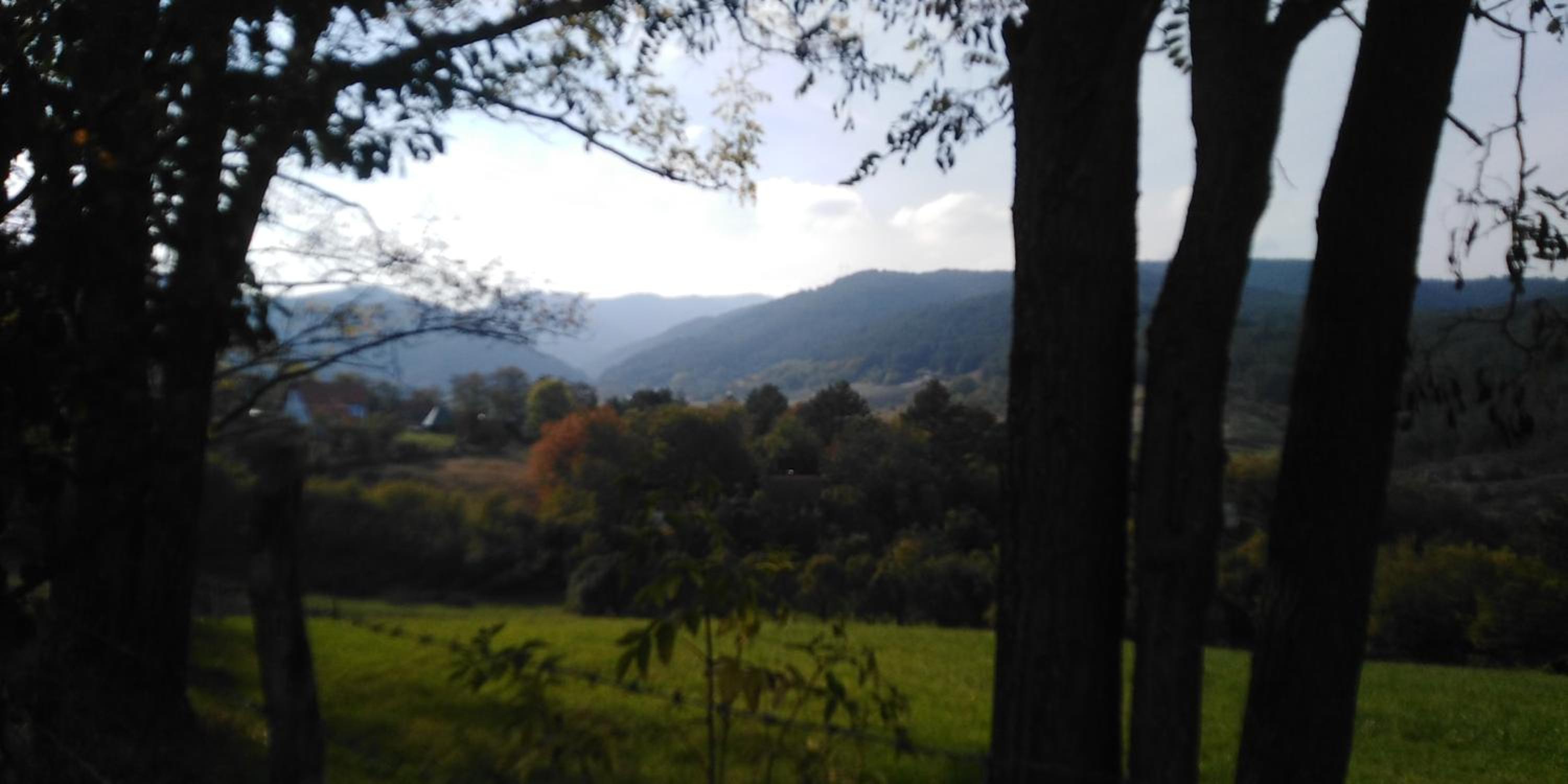 Koliba kod Vukašina