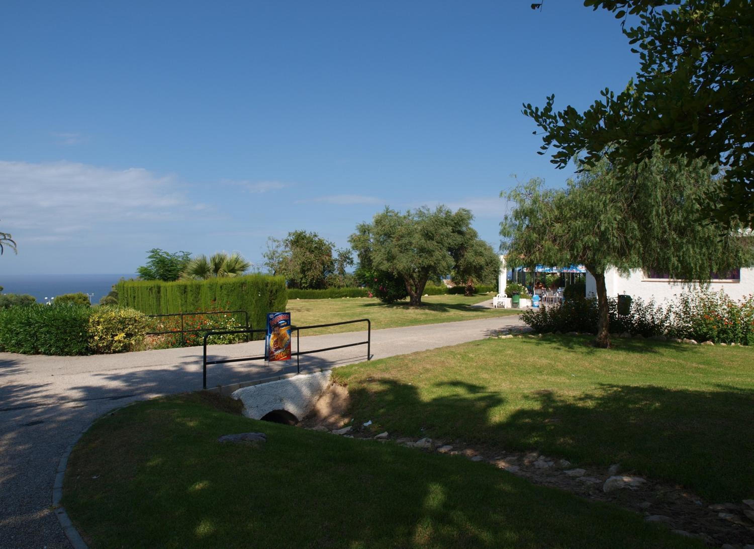 Photo 41