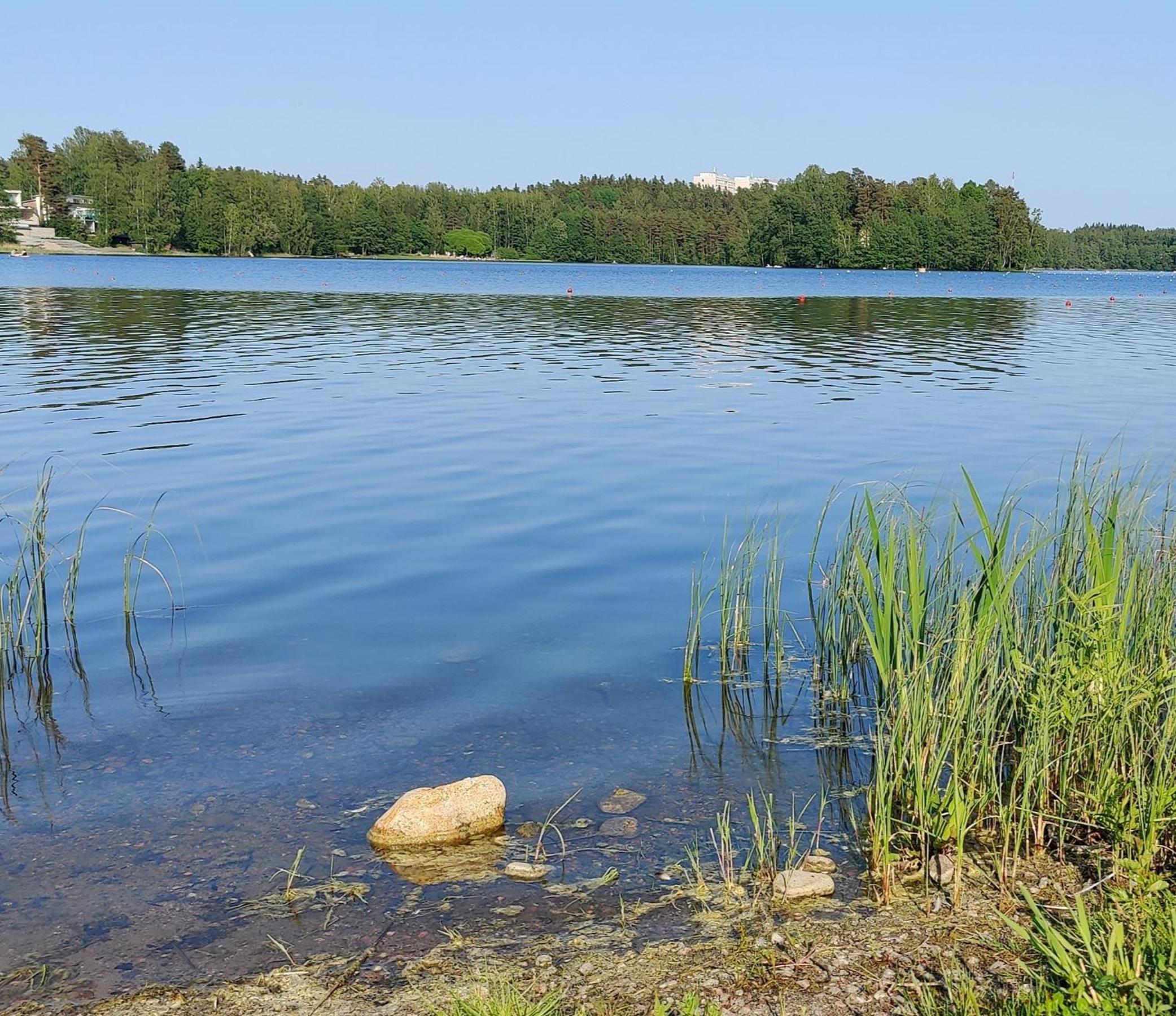 Pinjakoti