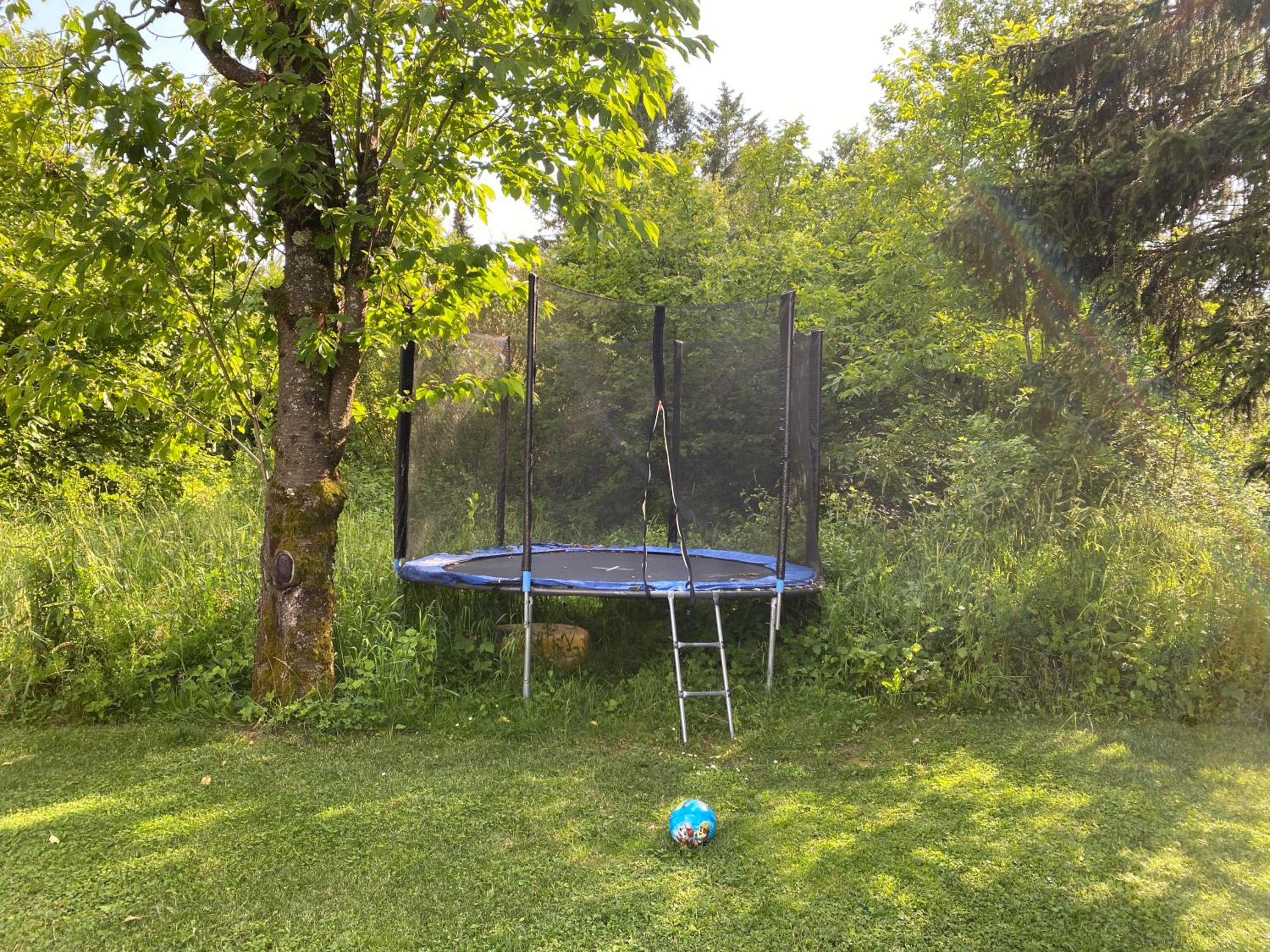 Photo 18