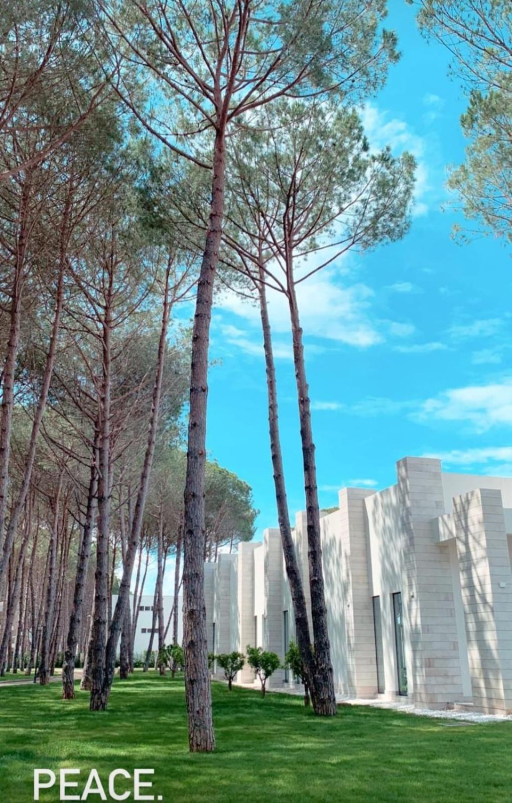 Shiny San Pietro Apartment