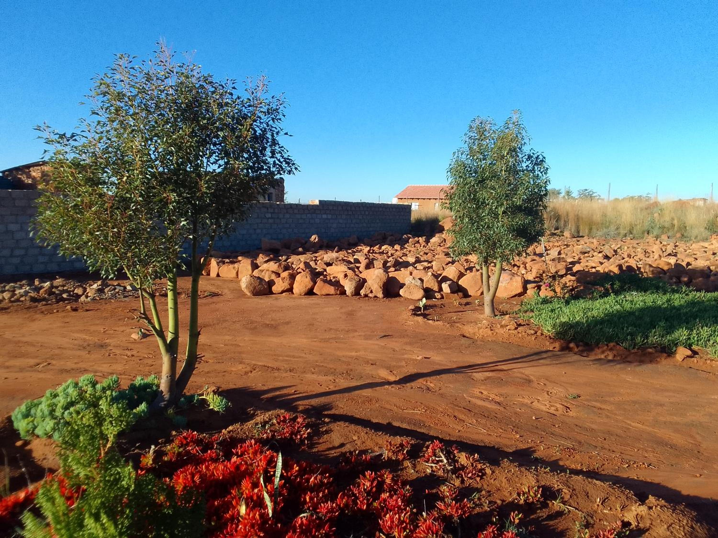 Photo 55