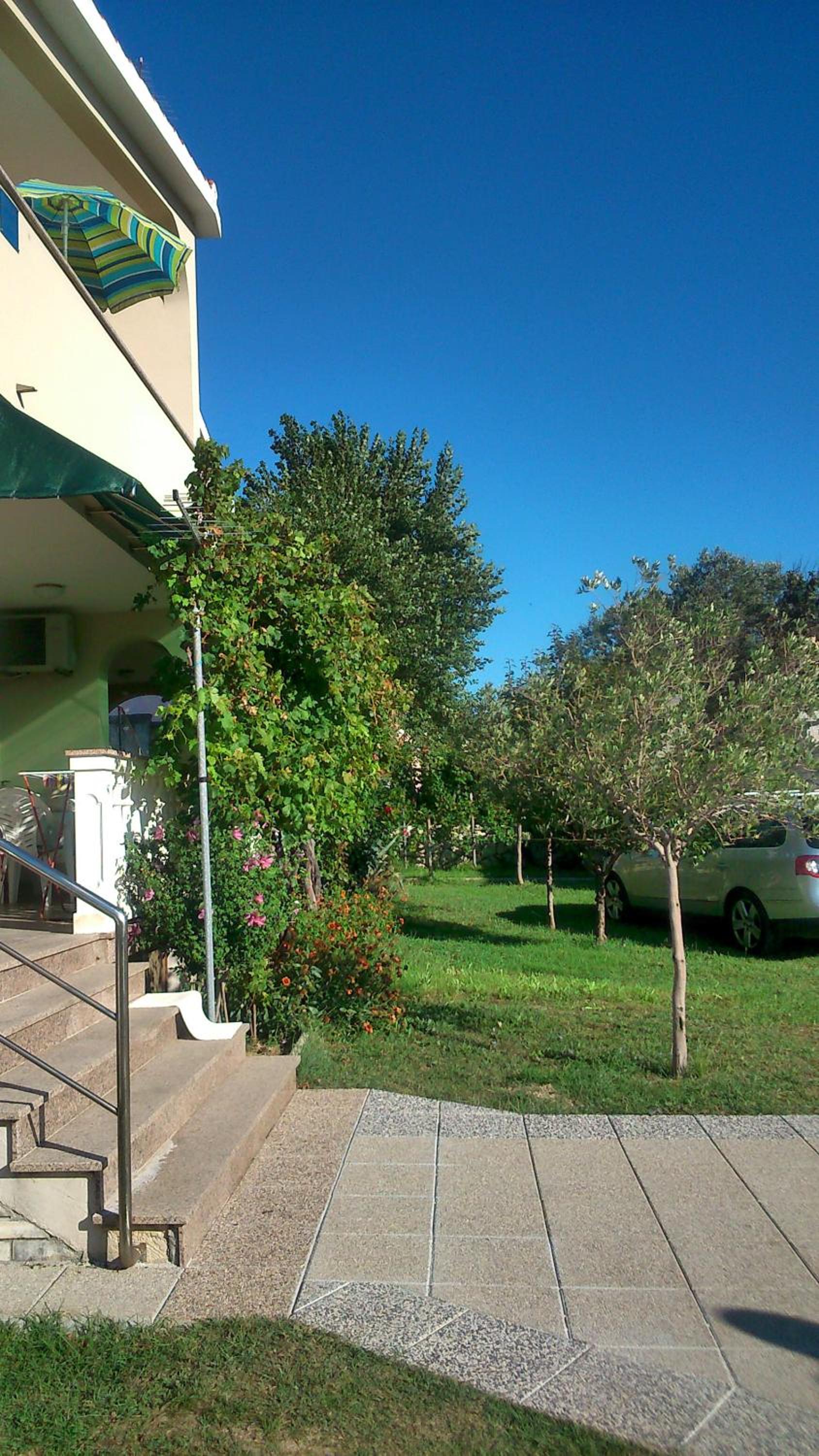 Photo 29