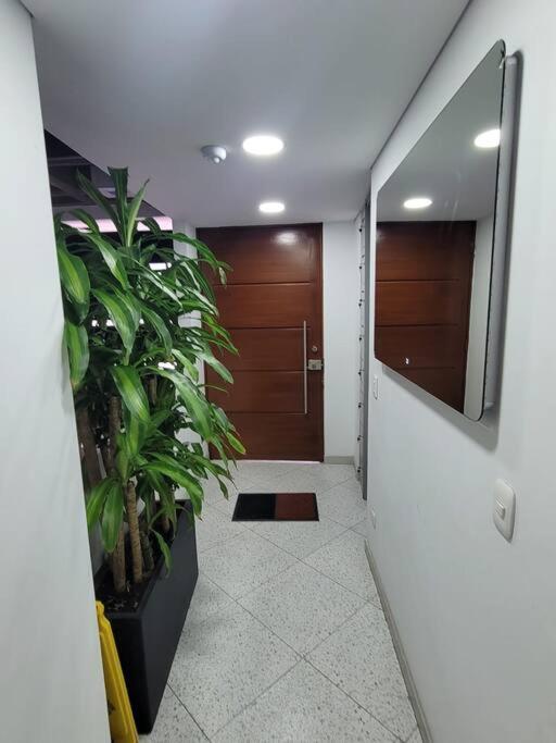 Corferia/USA Embassy/Beauty Apt