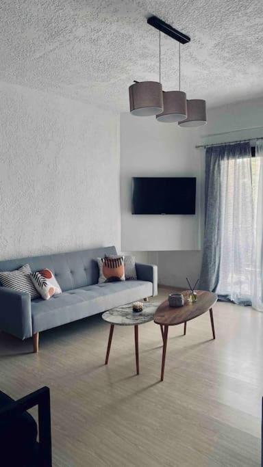 Amazing family house! 150m from the beach view 5