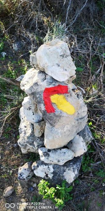 Photo 21