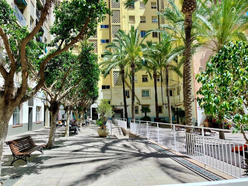 PL IFACH SOLYMAR