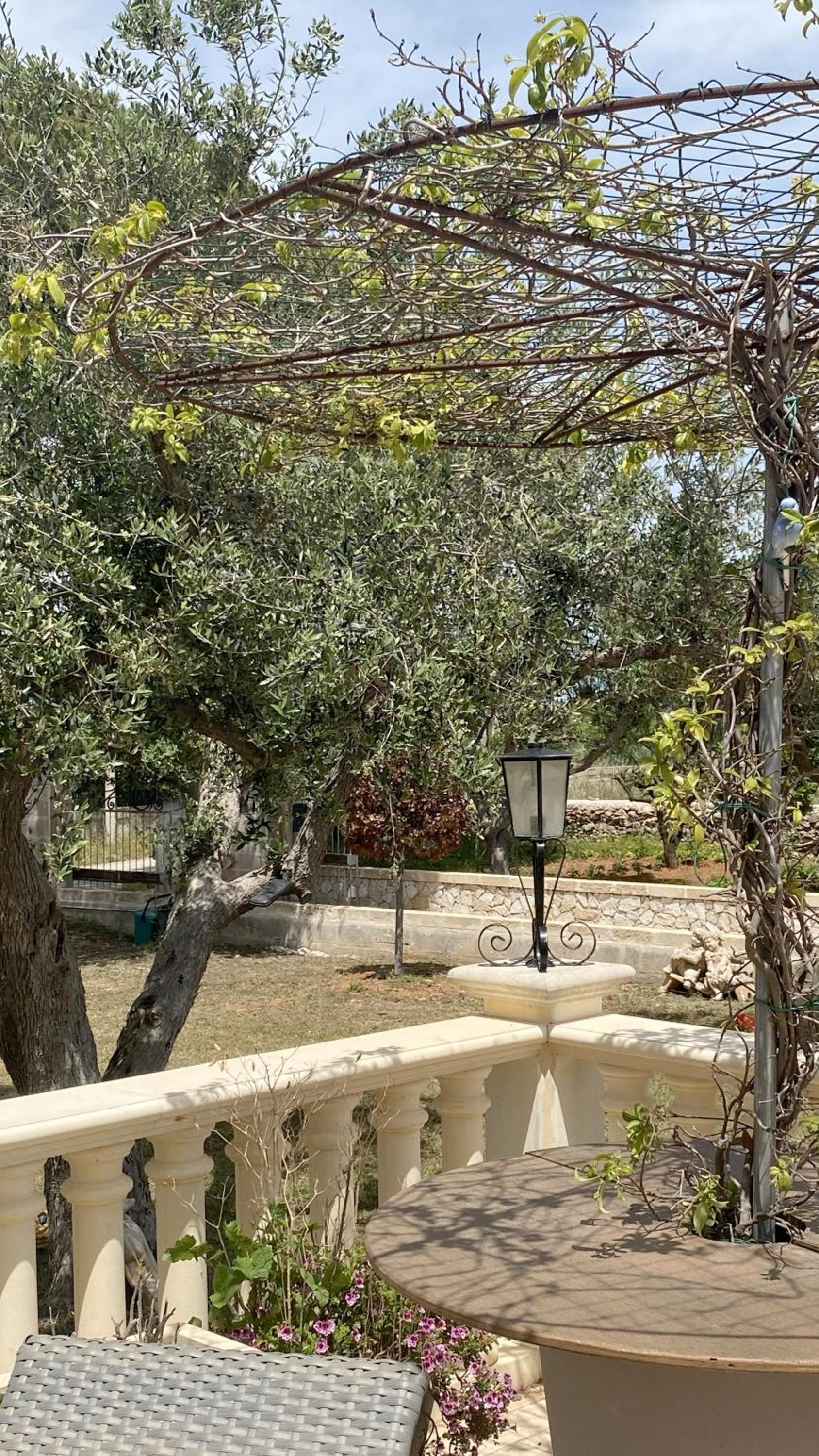 Photo 21