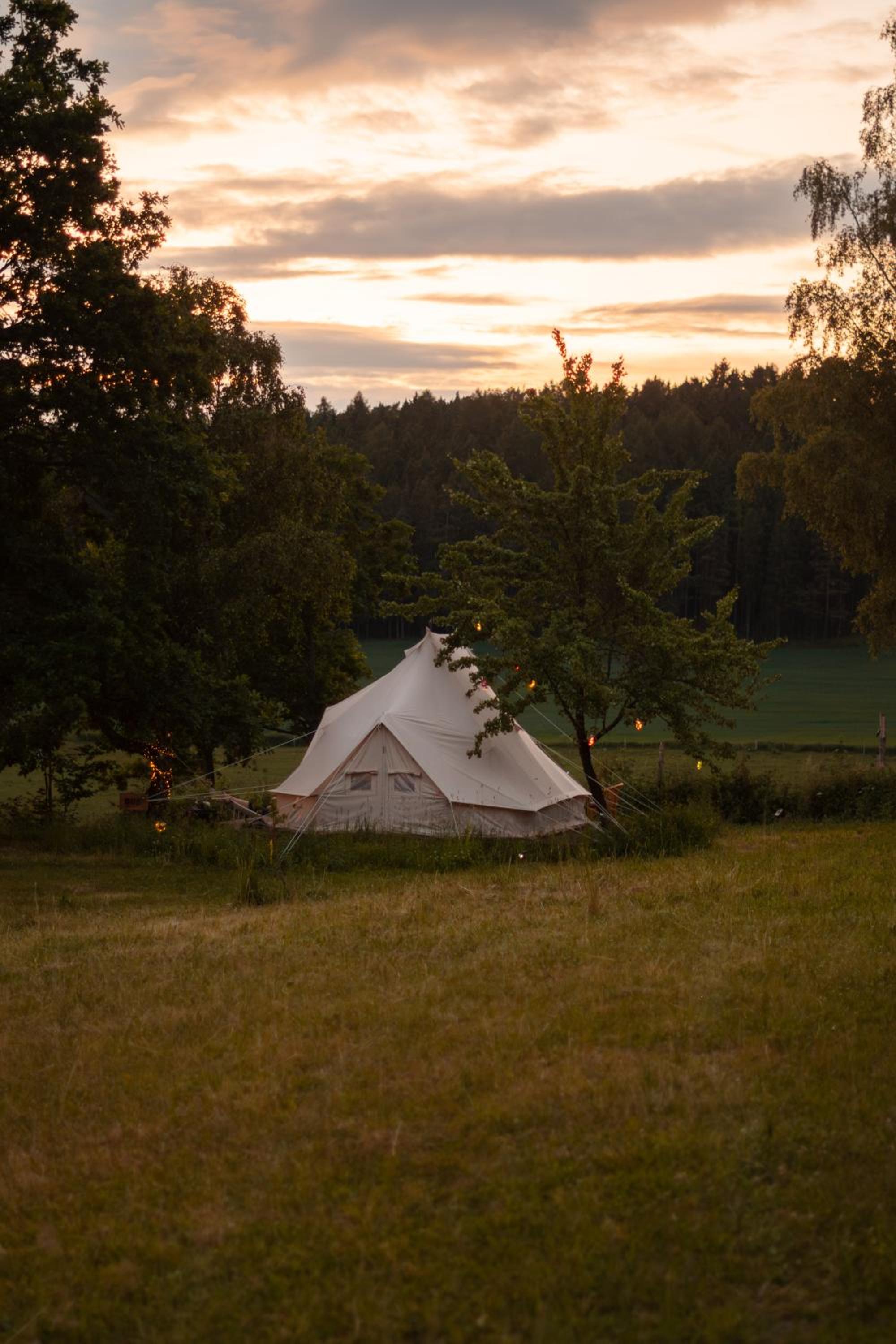Glamping Hive