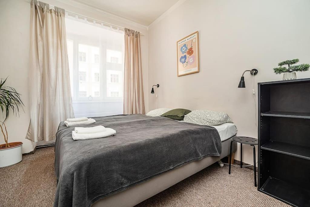 Flat in Zizkov -102-