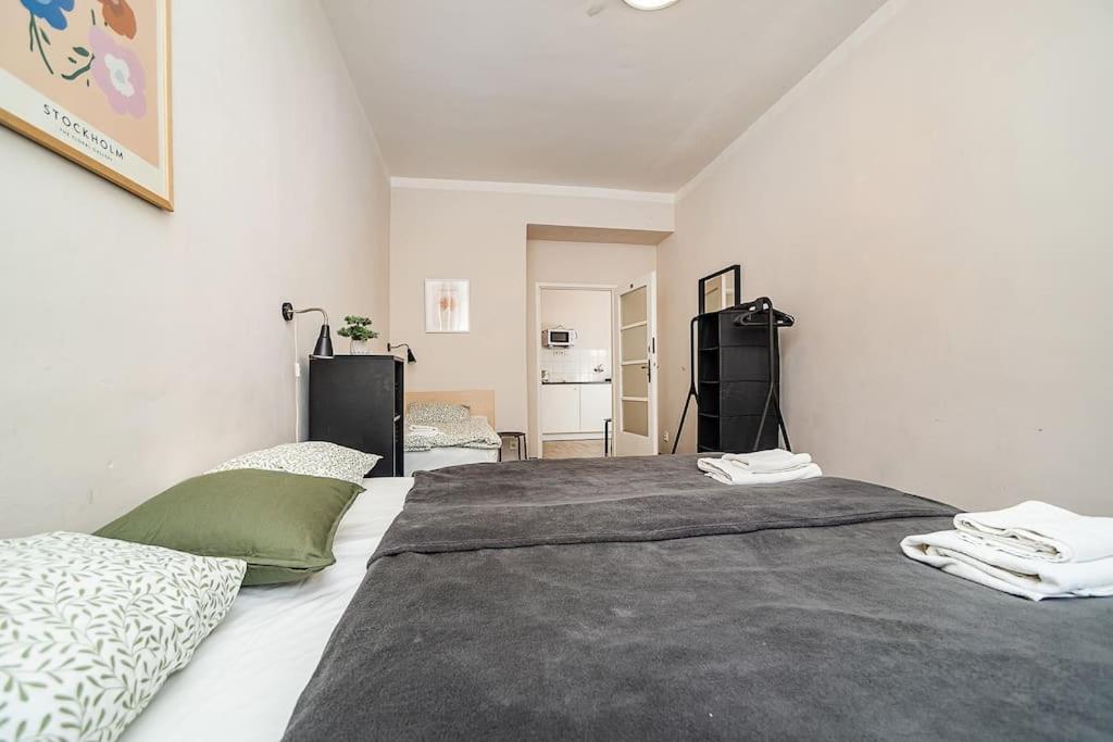 Flat in Zizkov -102-