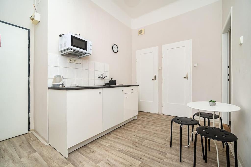 Flat in Zizkov -102-