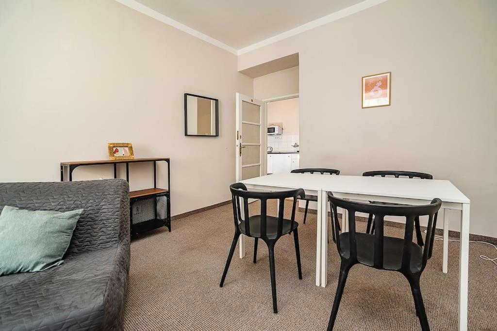 Flat in Zizkov -102-