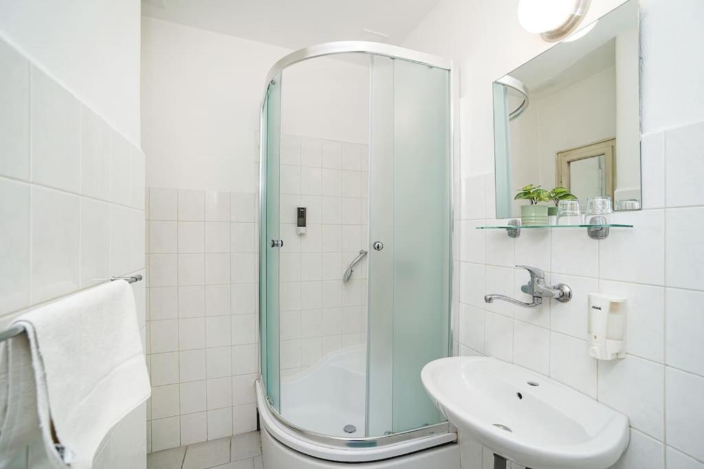 Flat in Zizkov -102-