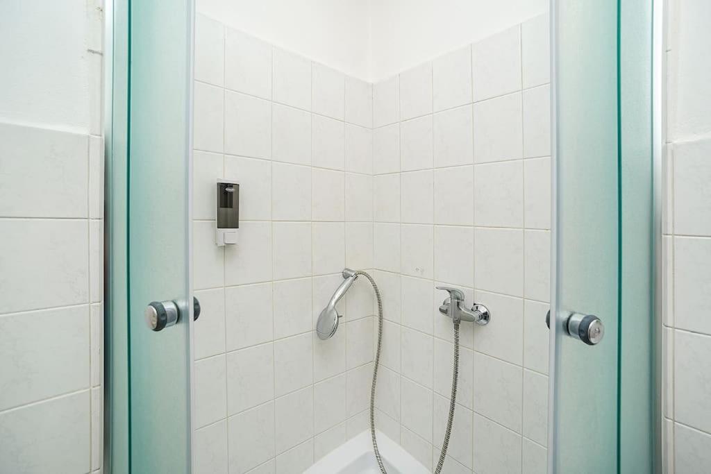 Flat in Zizkov -102-