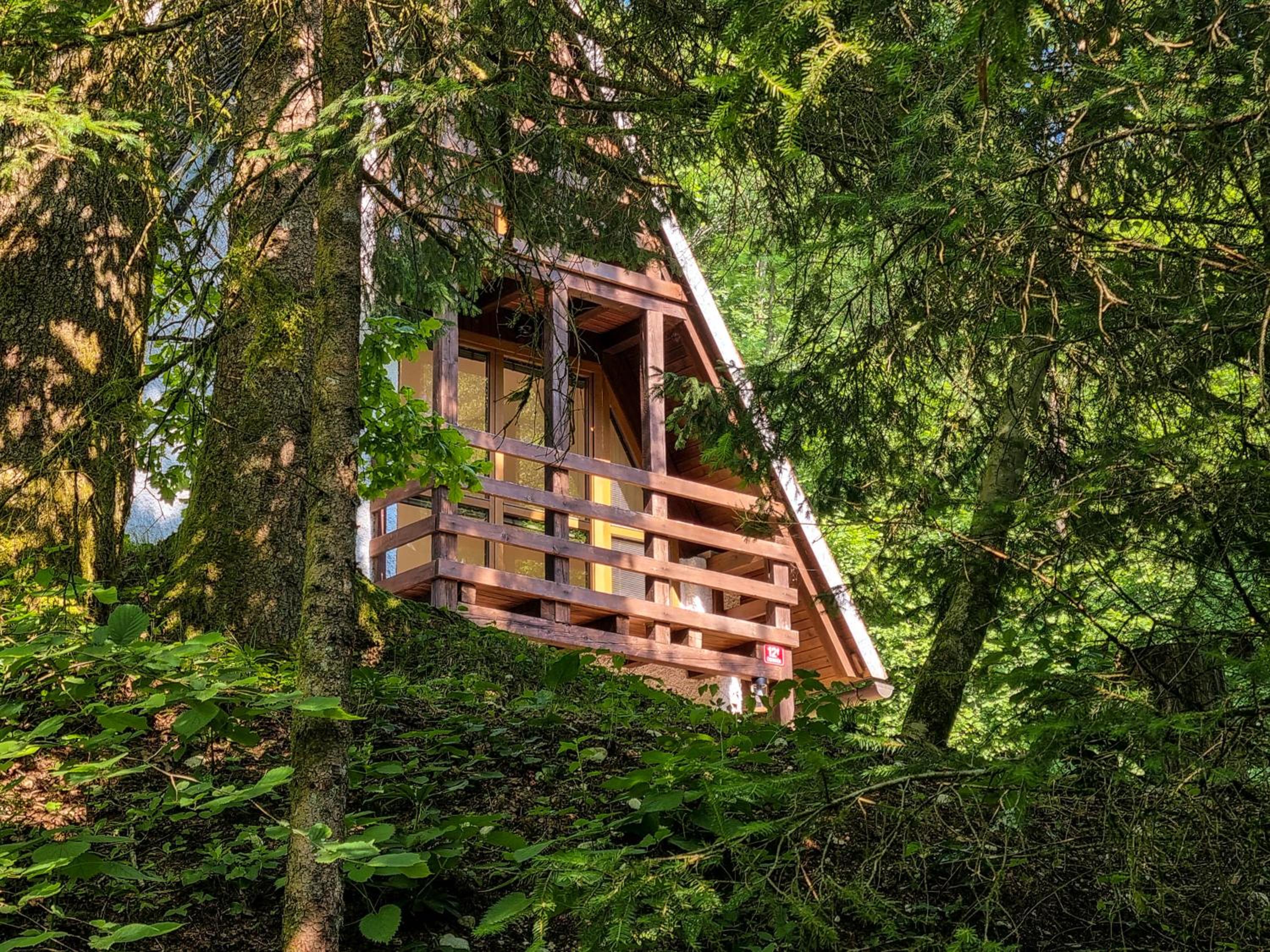 Jakob Cabin view 2
