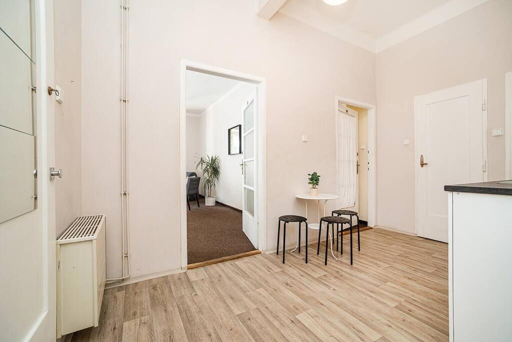 Flat in Zizkov -103-