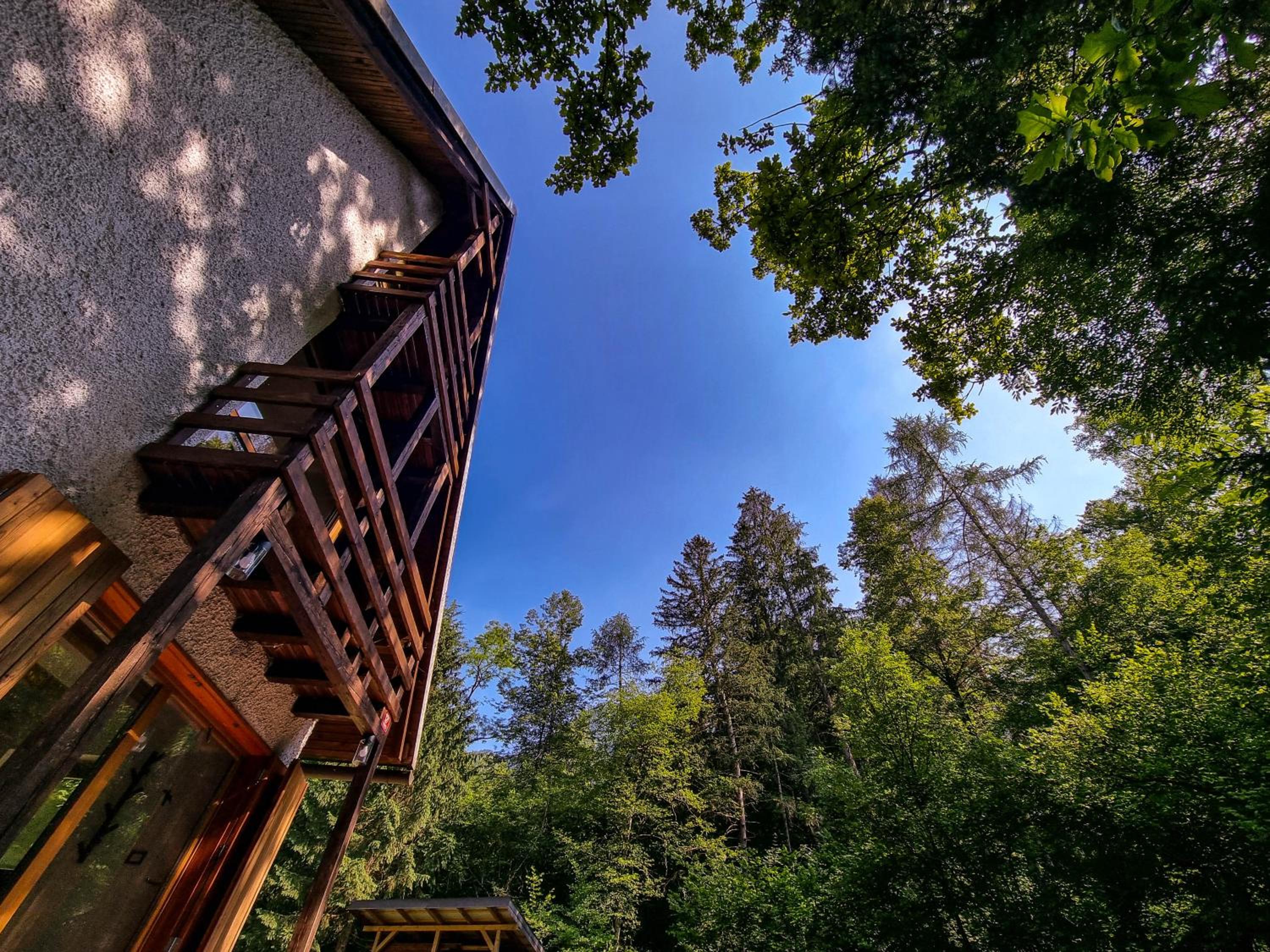Jakob Cabin view 5