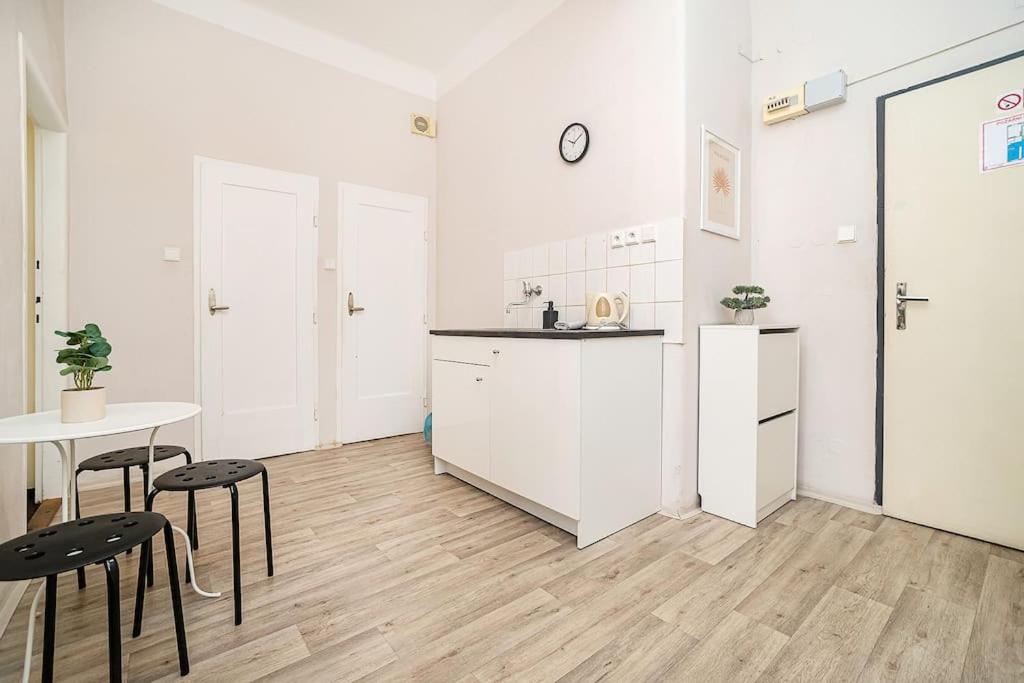 Flat in Zizkov -103-