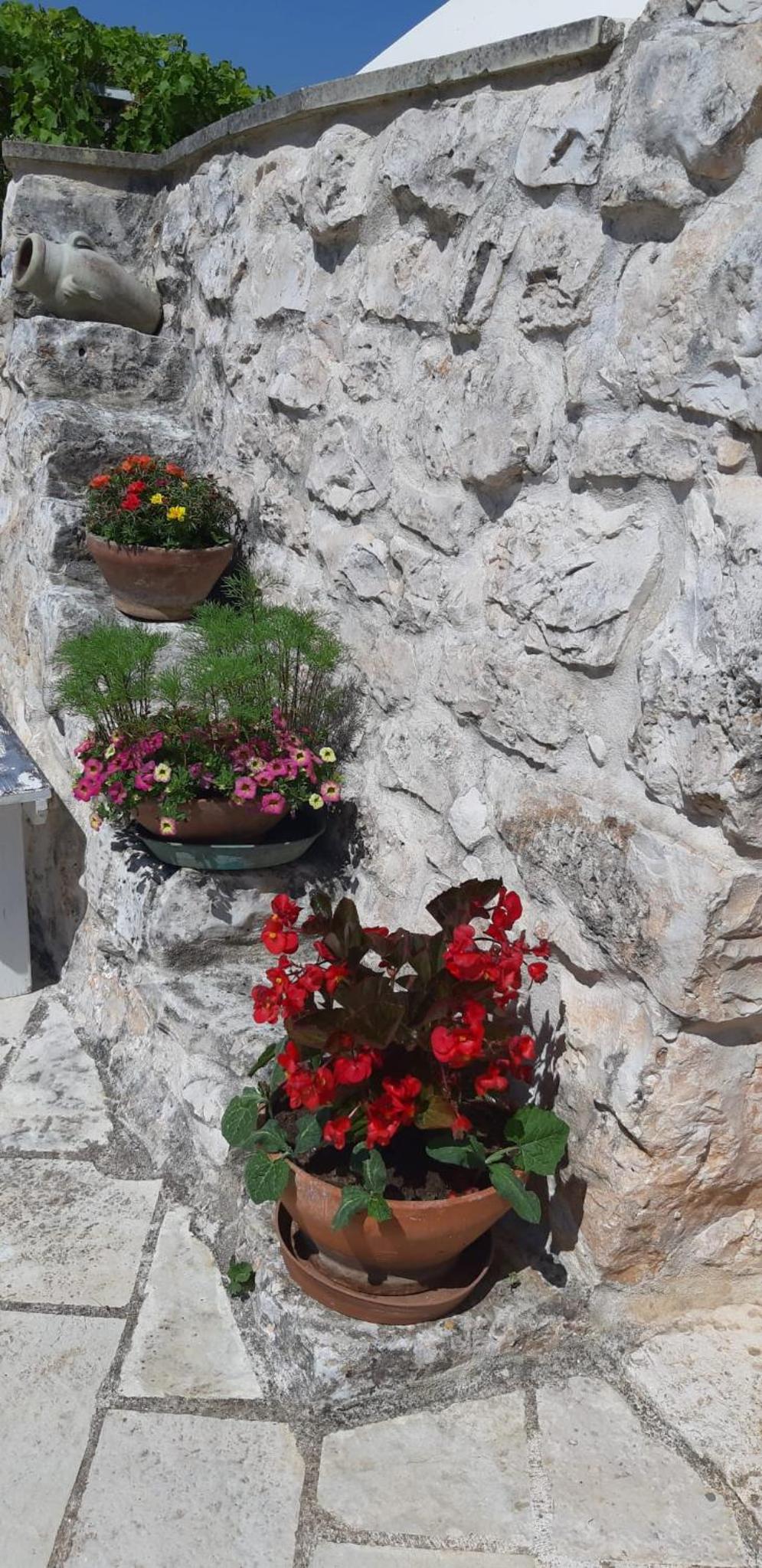 Trullo Donna Caterina