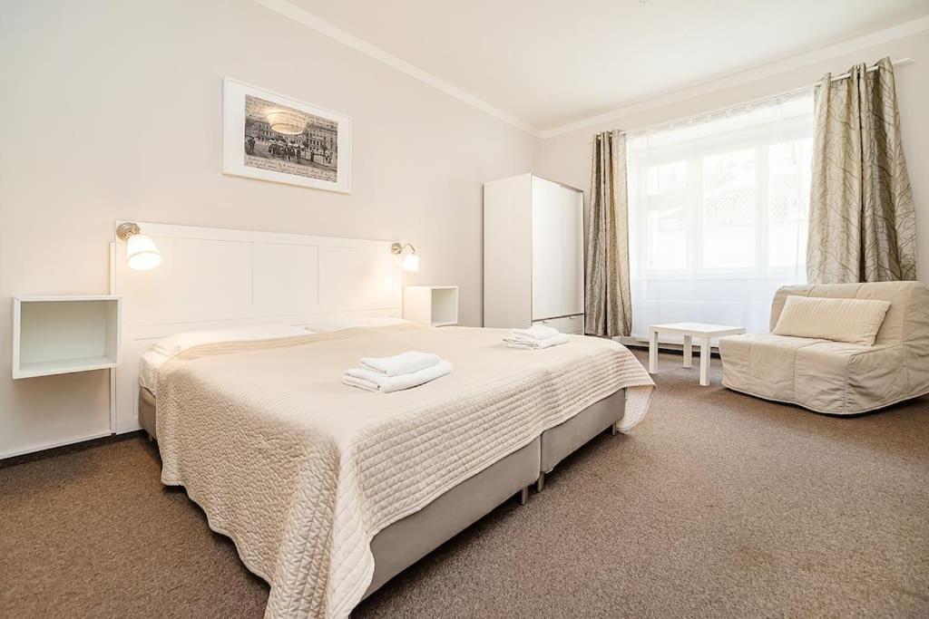 Flat in Zizkov -104-