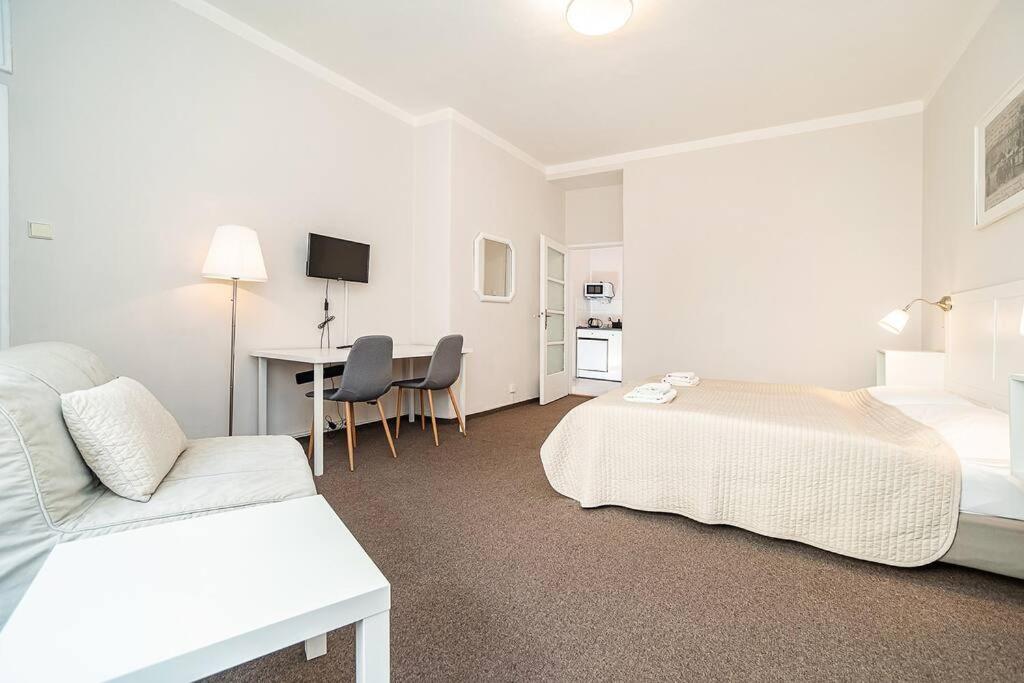 Flat in Zizkov -104-