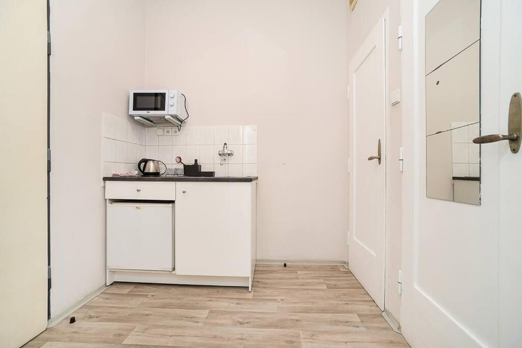 Flat in Zizkov -104-