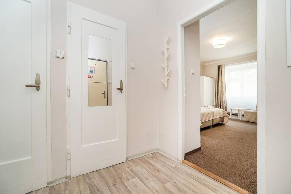 Flat in Zizkov -104-