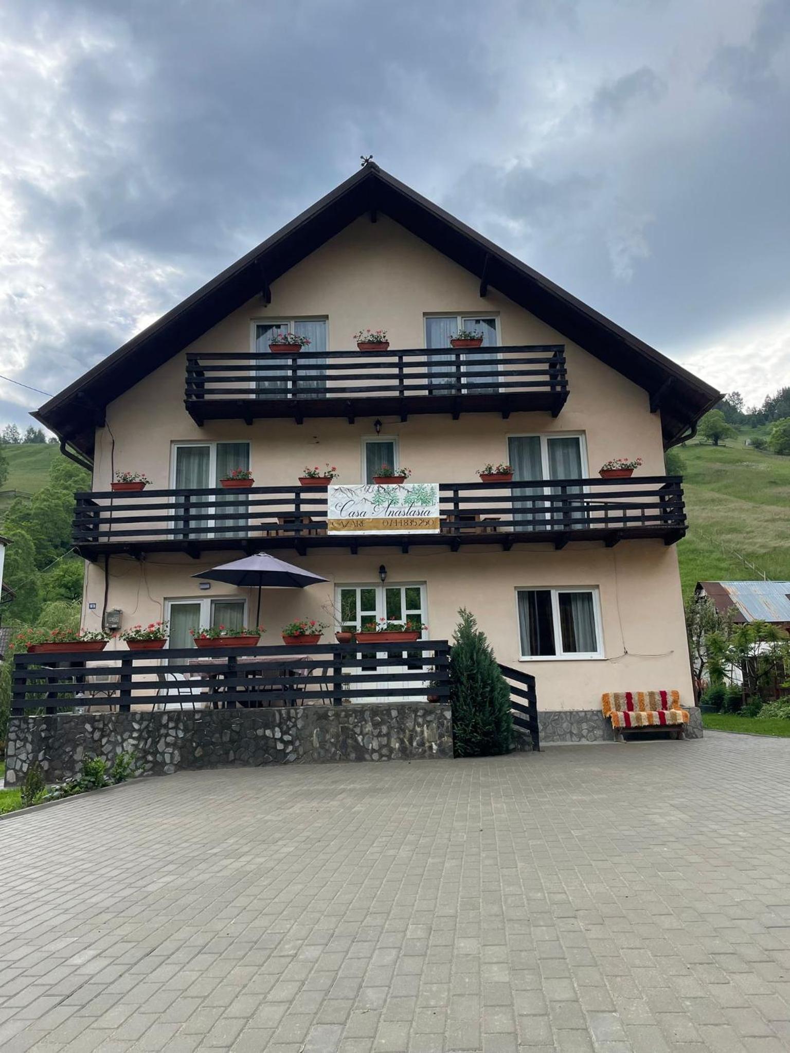 Casa Anastasia - Moieciu de Sus view 2