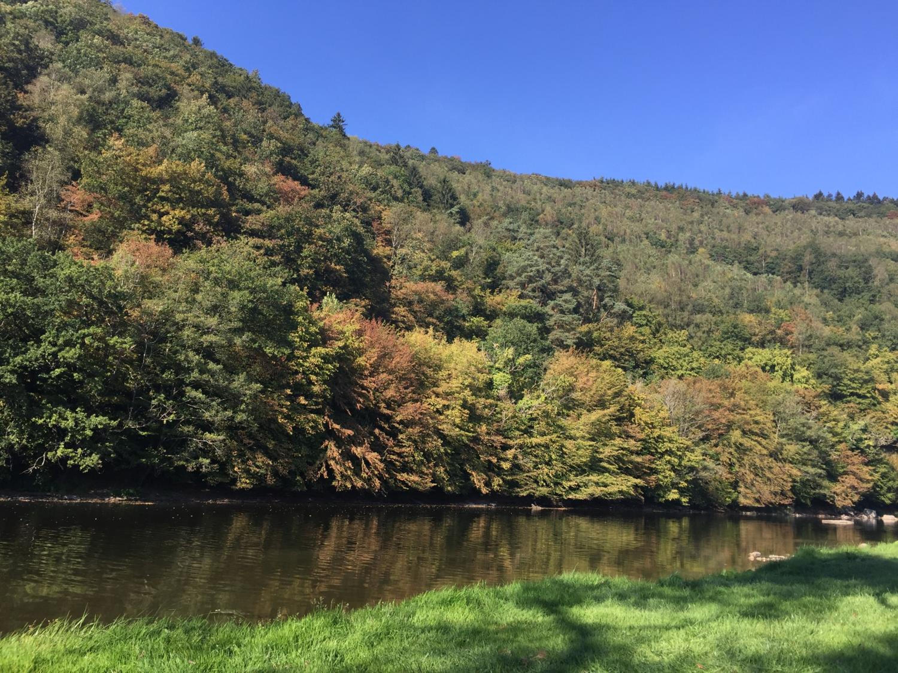Bungalow Rochehaut au calme