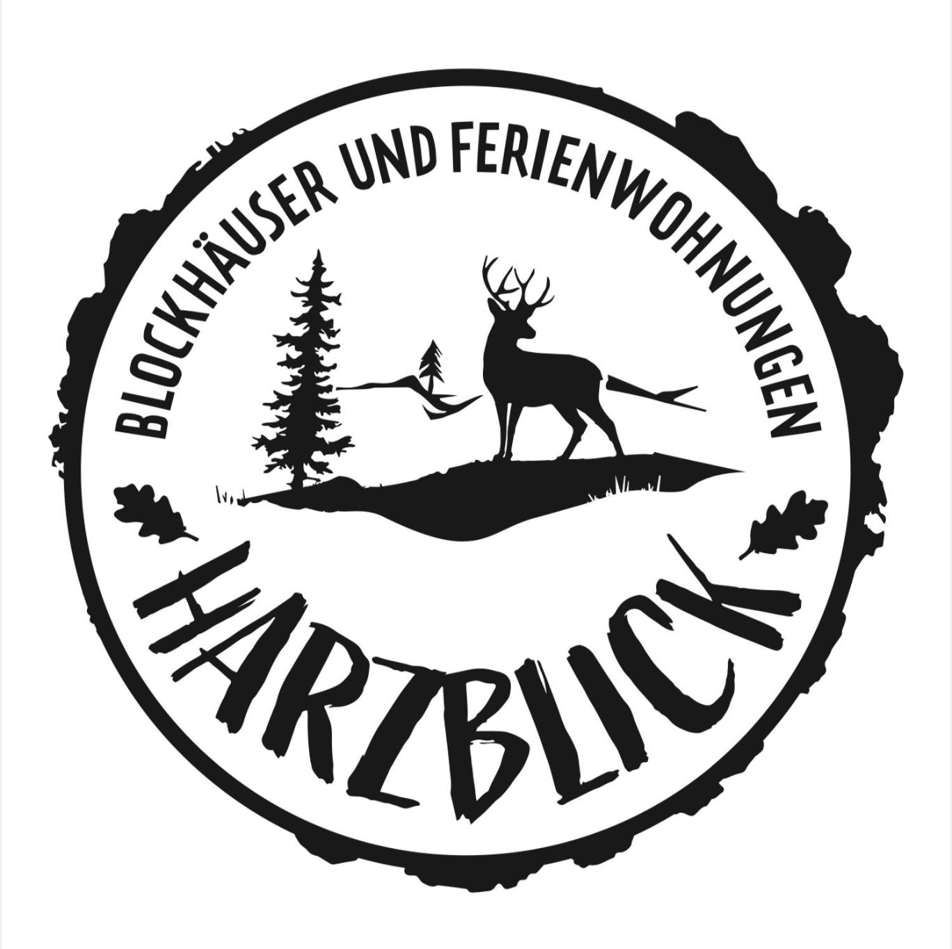 Ferienwohnung Harzblick 4