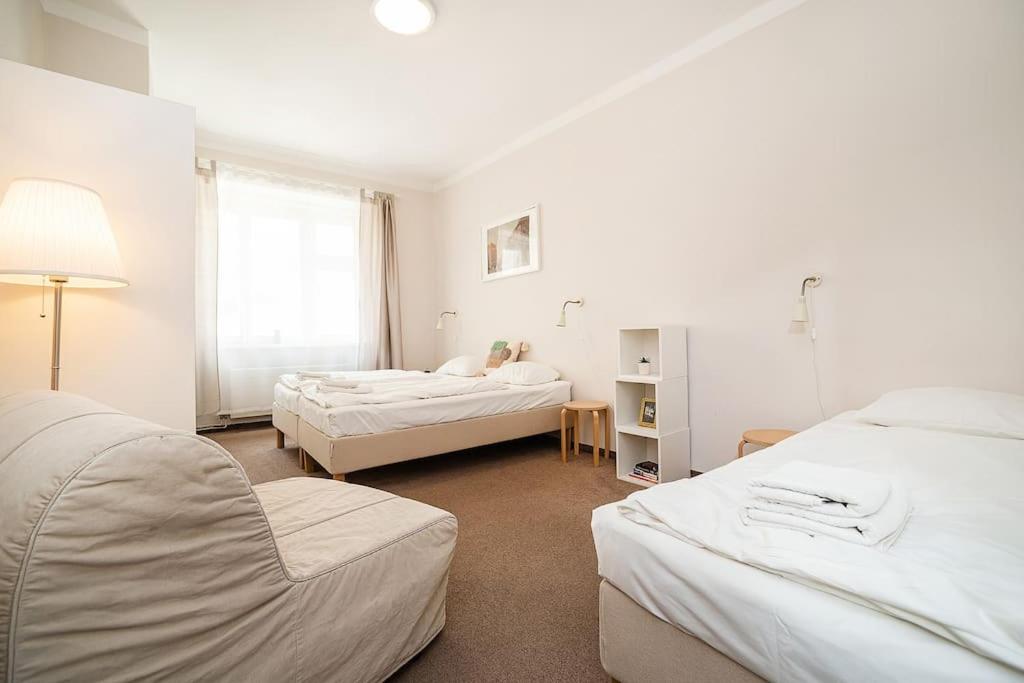 Apartment in Zizkov -201-