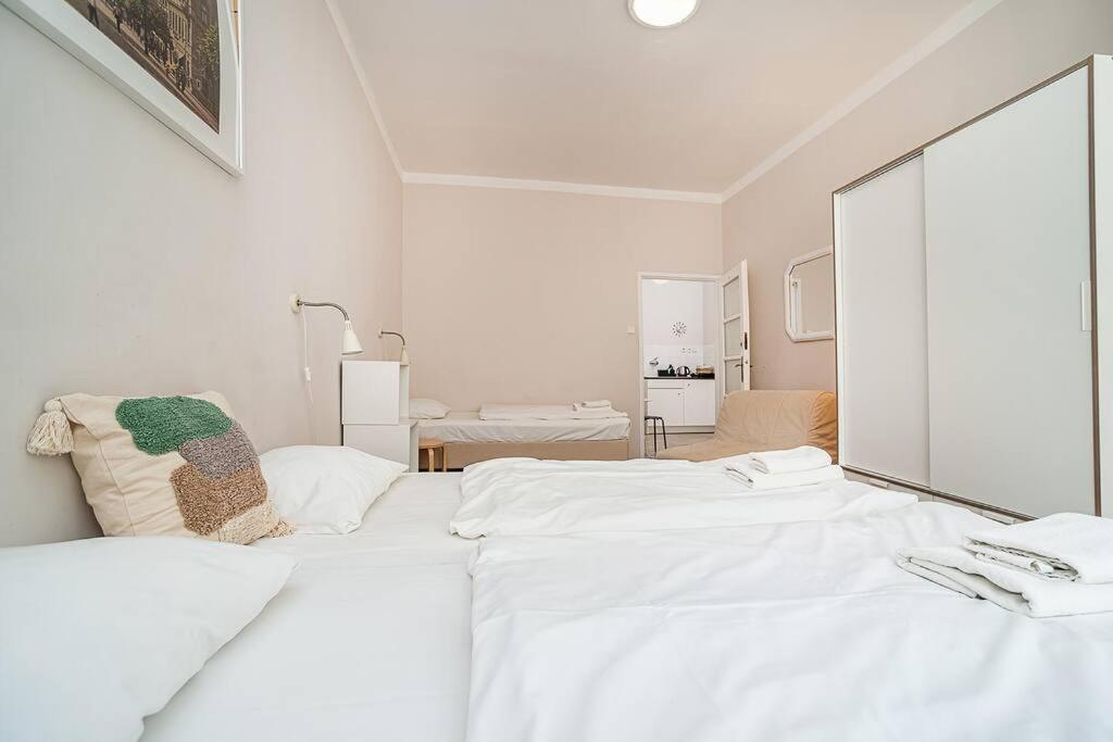 Apartment in Zizkov -201-