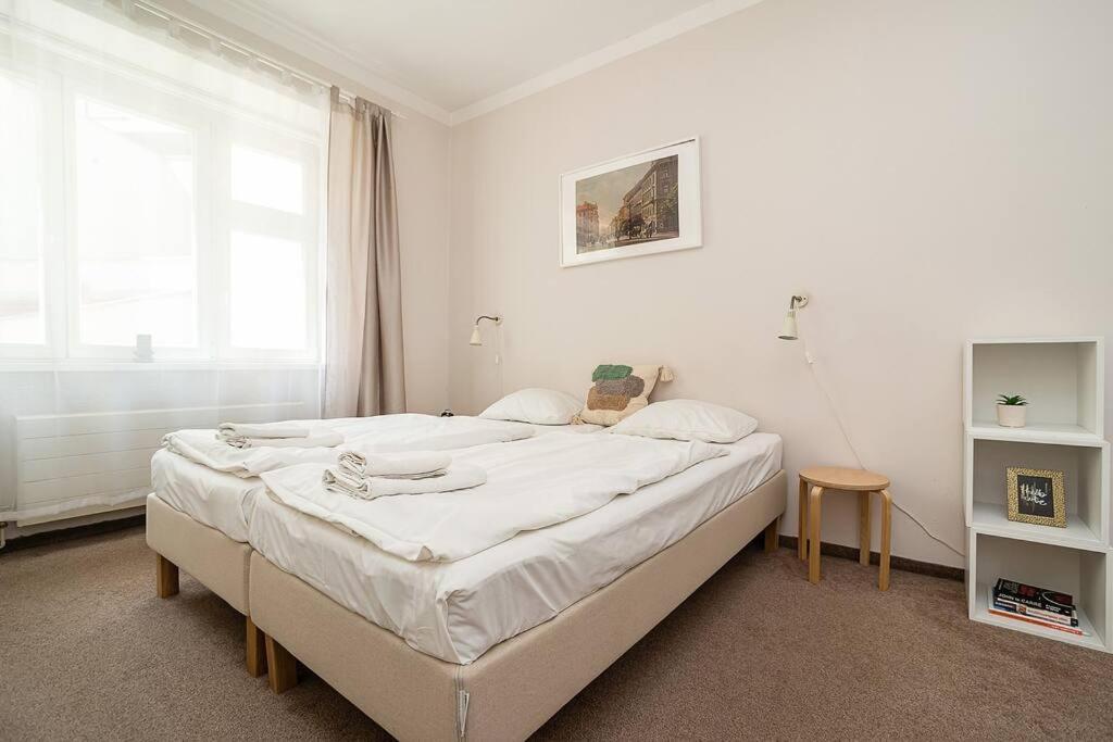 Apartment in Zizkov -201-