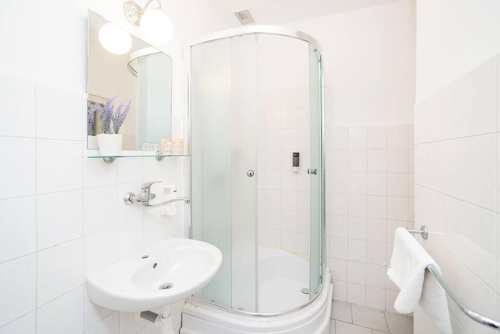 Apartment in Zizkov -201-