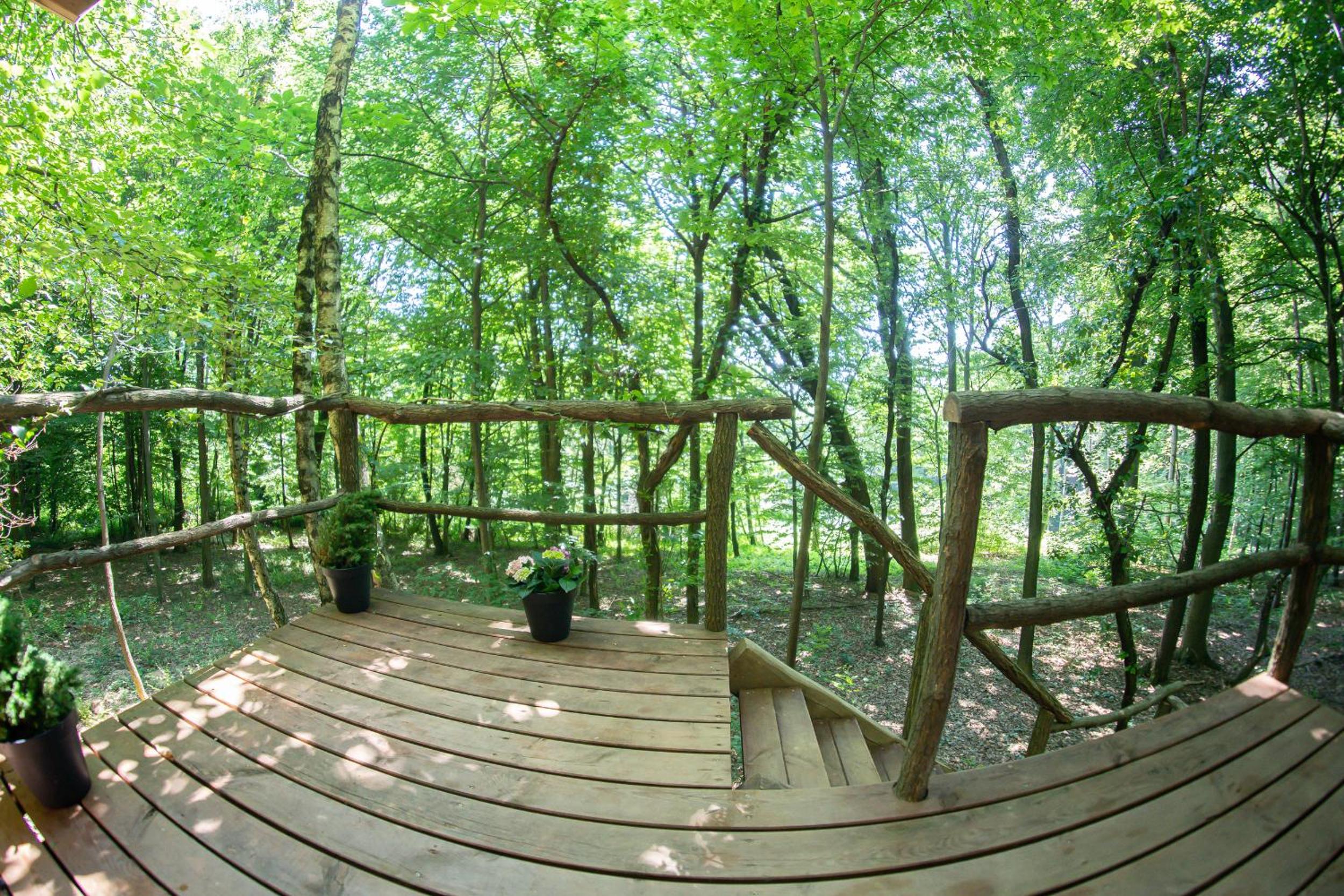 Living Forest Resort