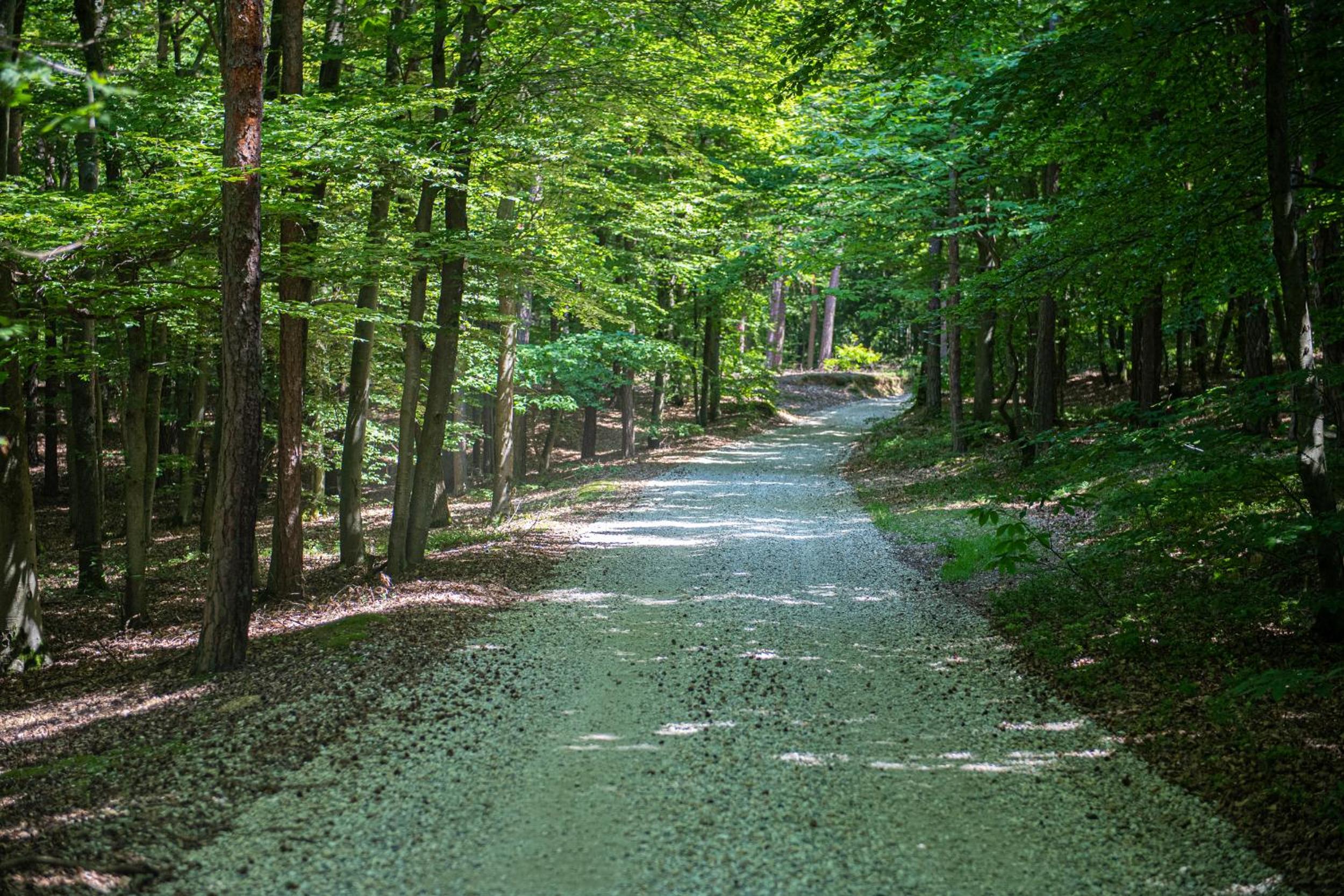 Living Forest Resort