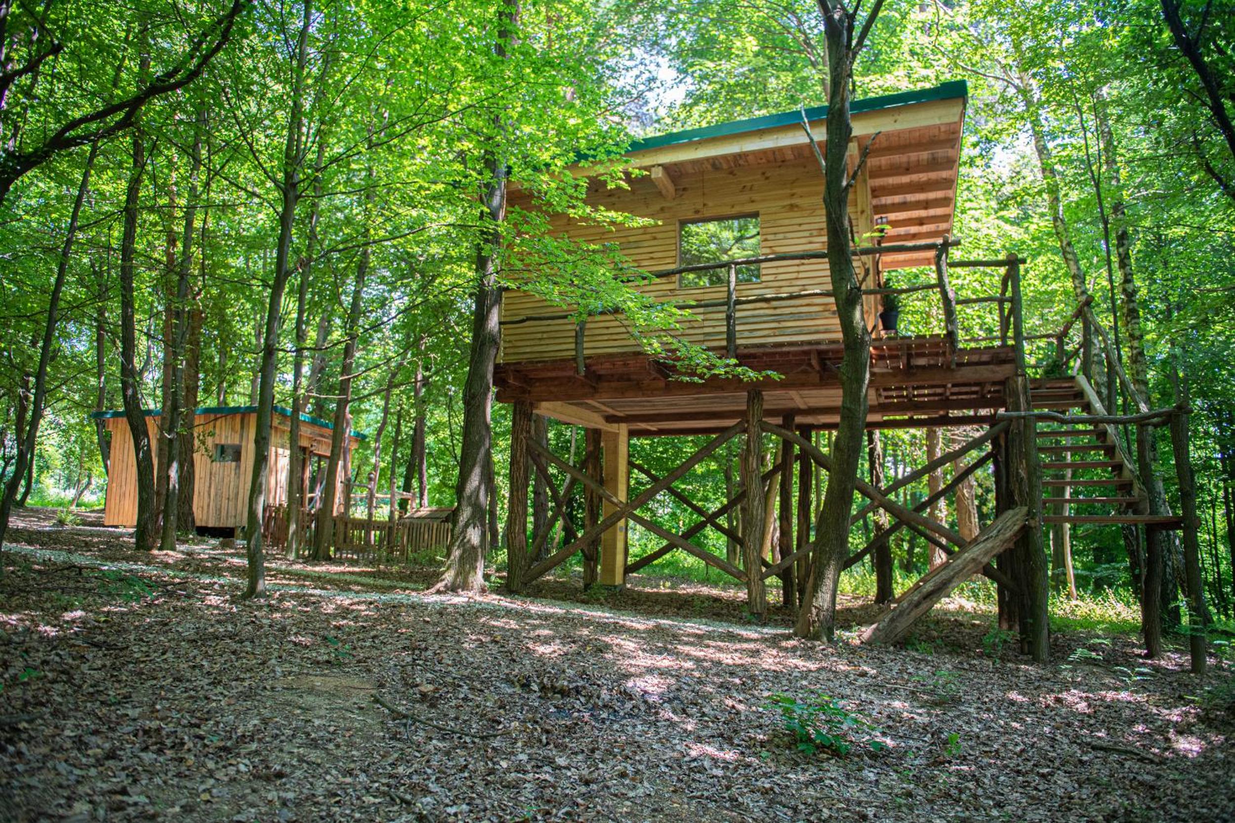 Living Forest Resort