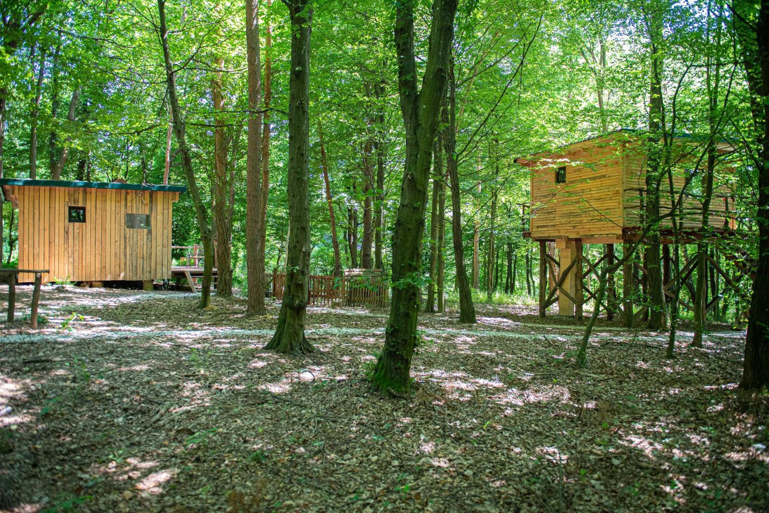 Living Forest Resort