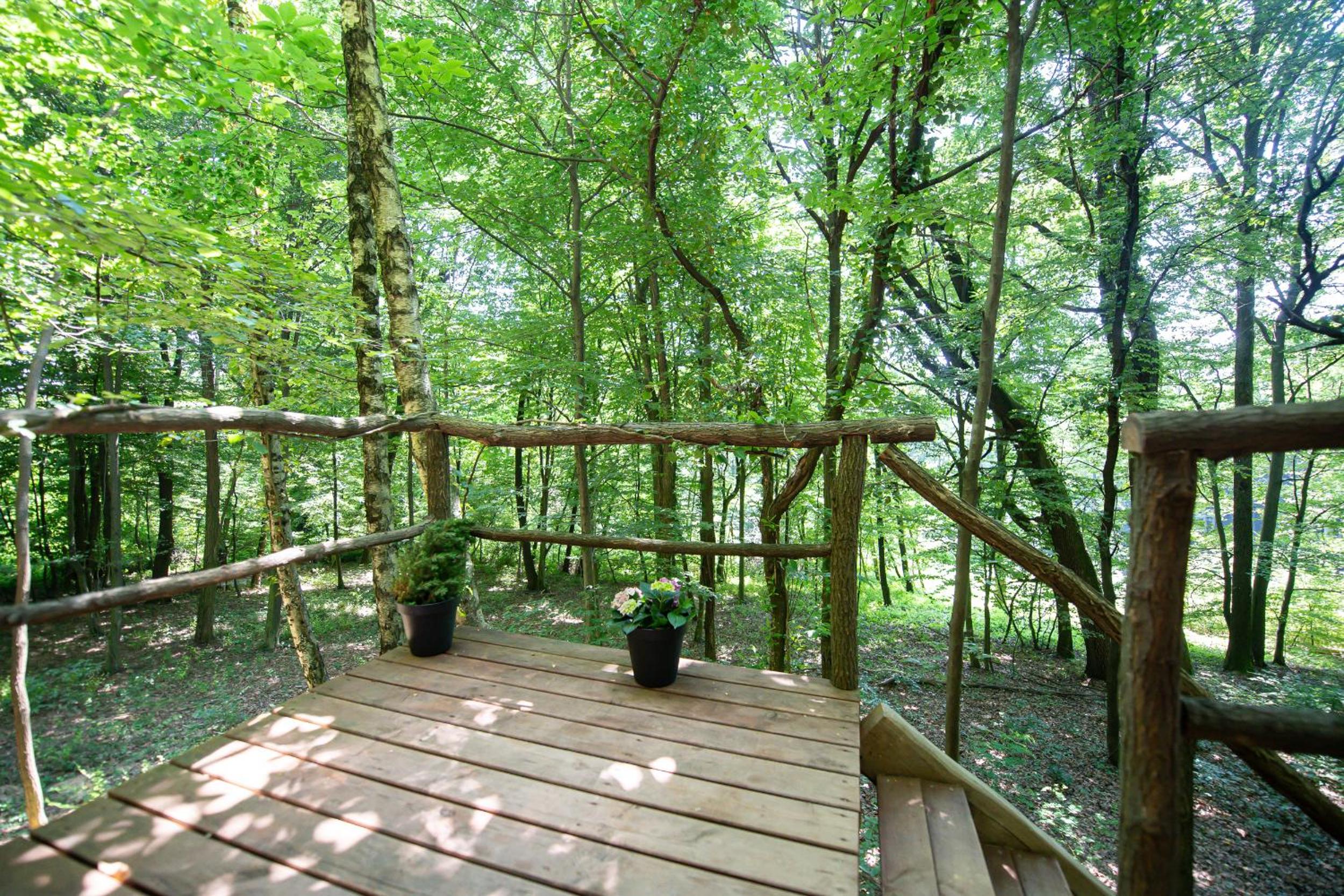 Living Forest Resort