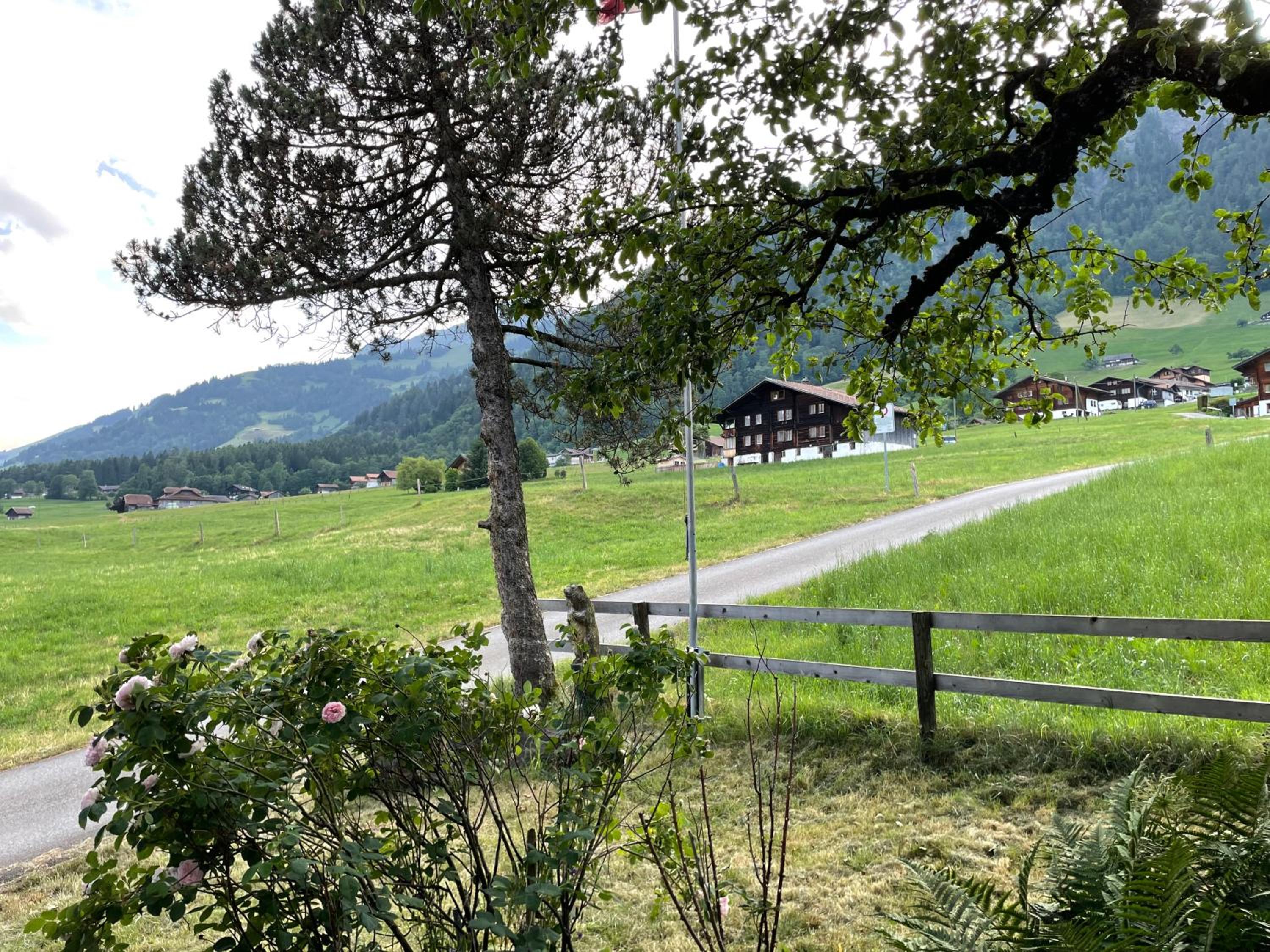 Edelweiss 4 Zi Ferienwohnung in Landhaus