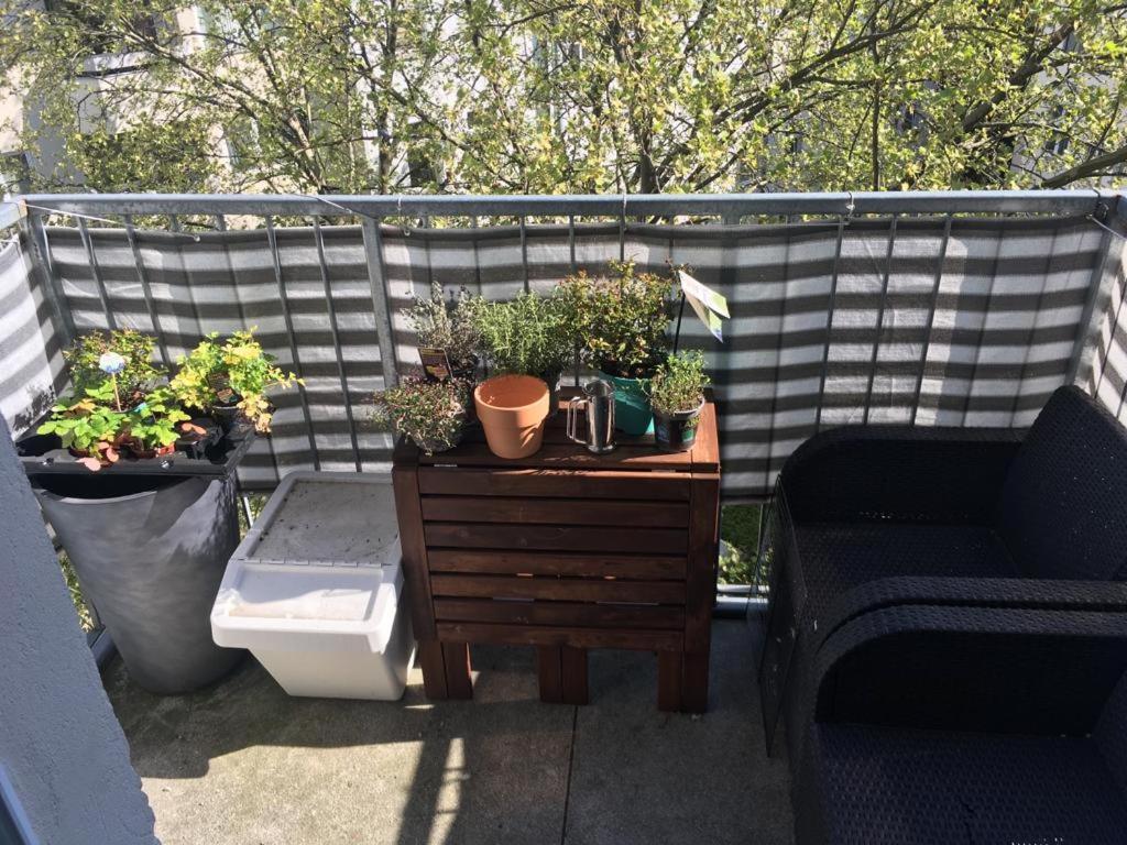 Cosy flat in Berlin's trendy area
