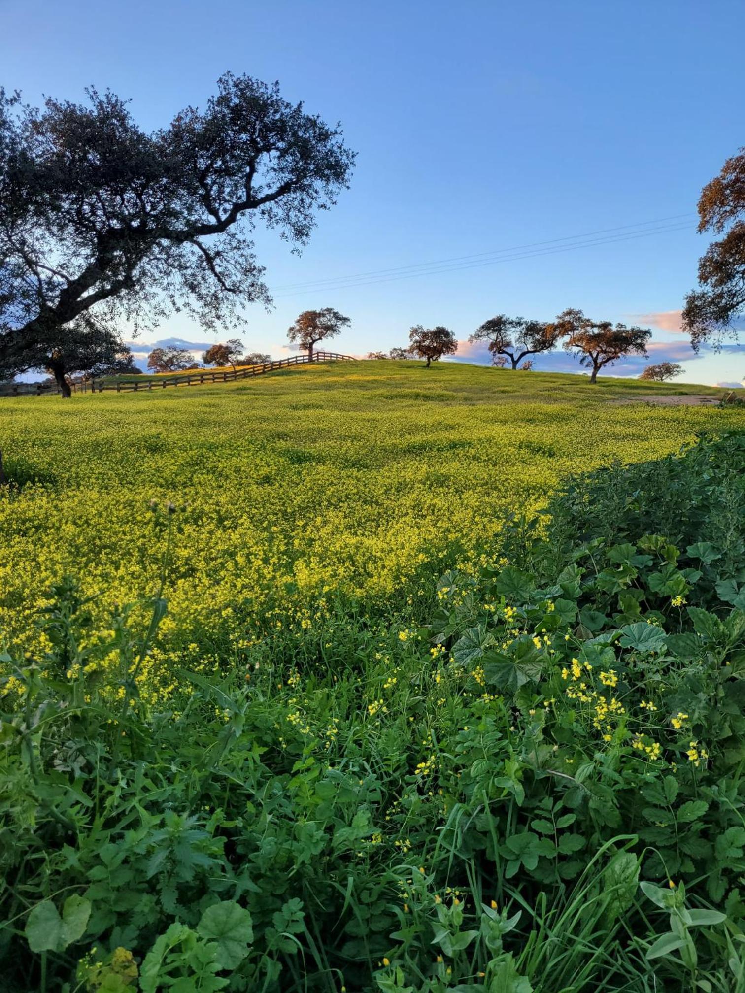 Alojamiento Rural Finca Barral