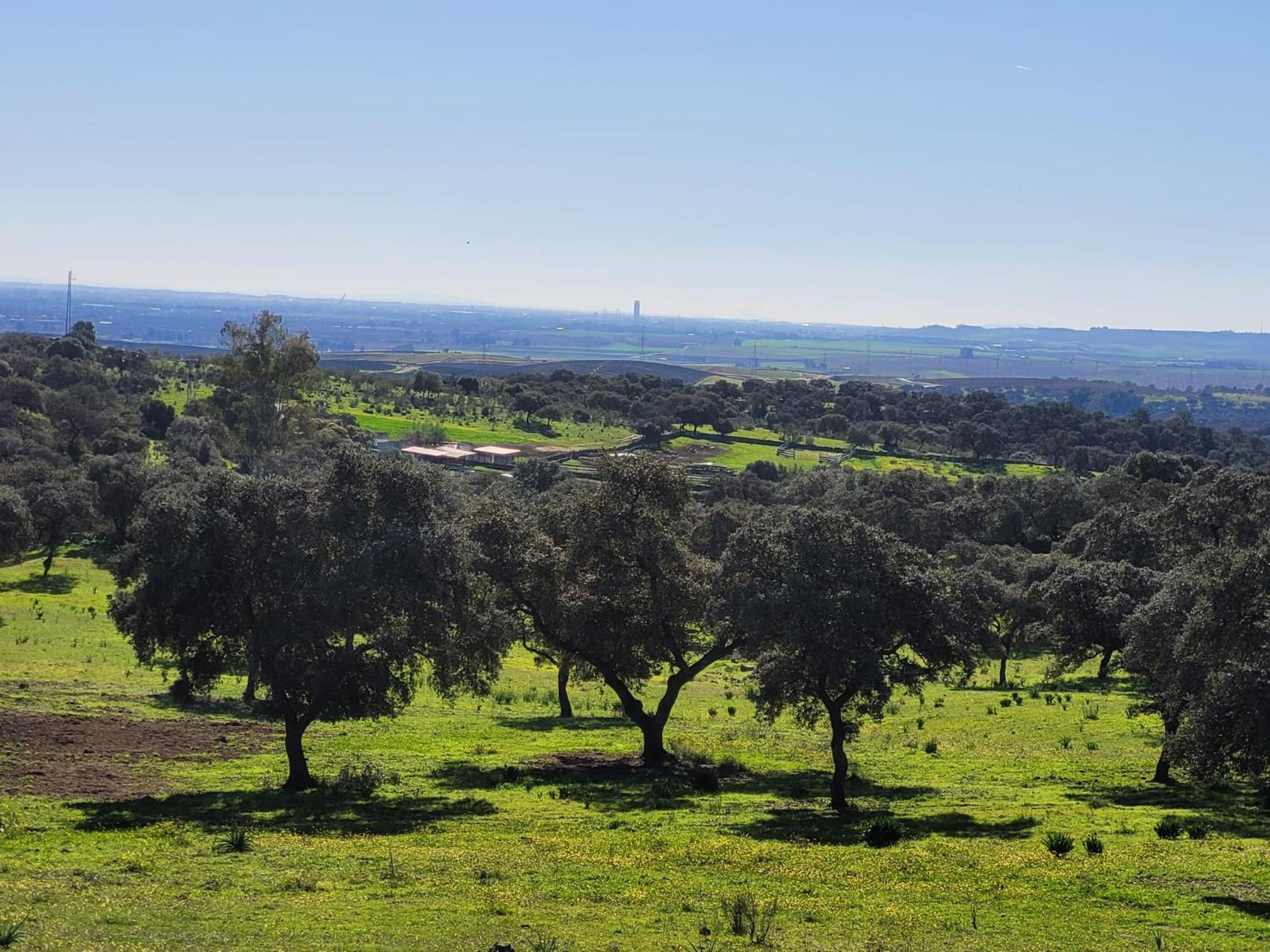 Alojamiento Rural Finca Barral