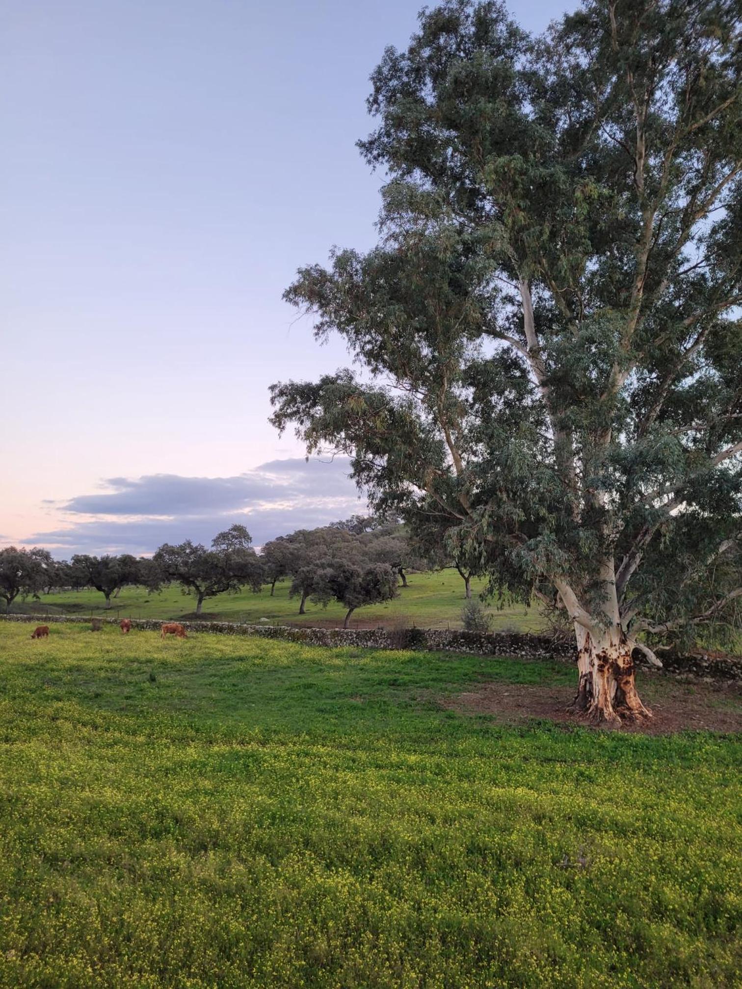 Alojamiento Rural Finca Barral