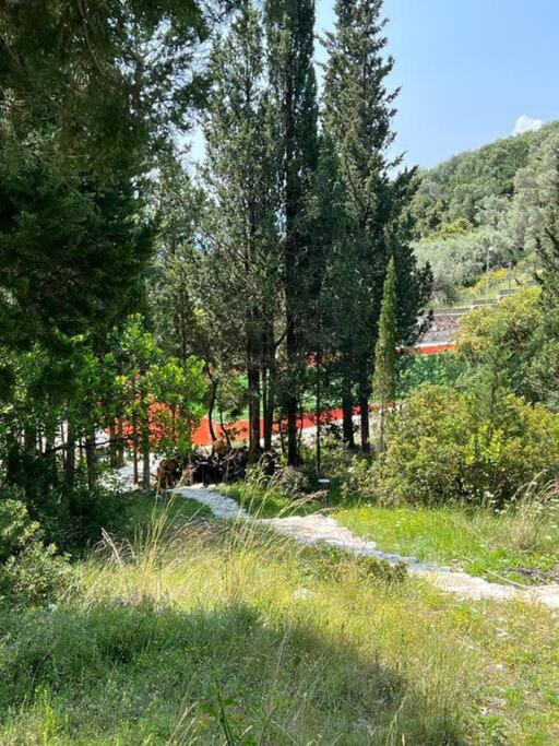 Secluded Villa Amadeus,hammam & tennis